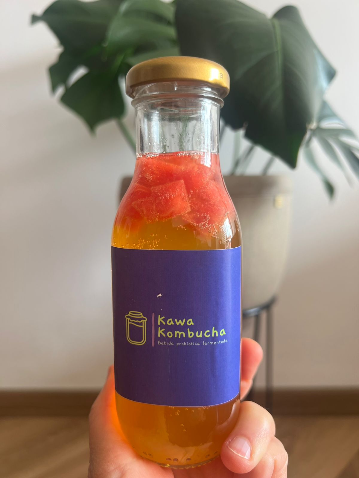 Kawa Kombucha Sandía