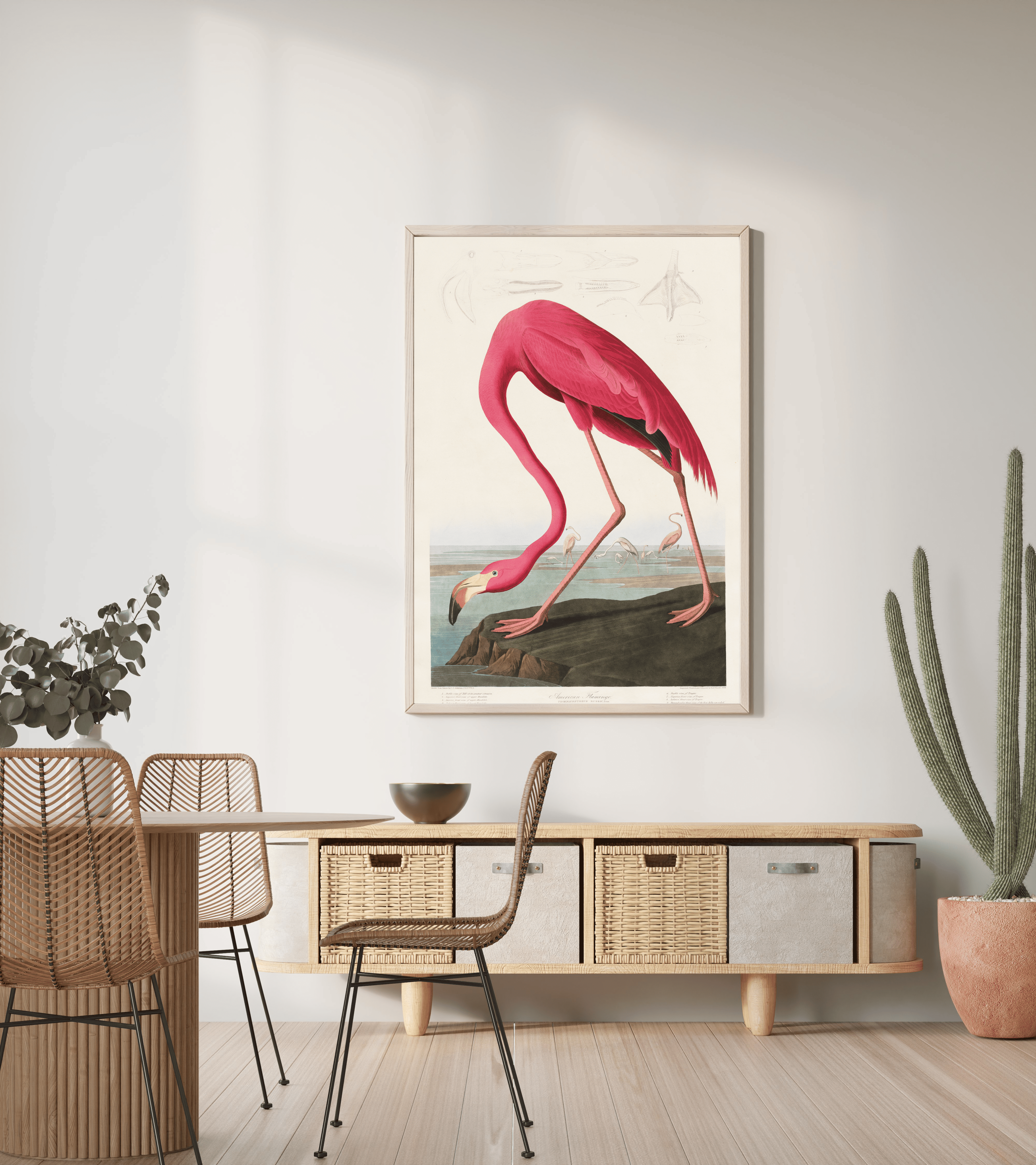 Doğa Sanatı | Pembe Flamingo Posteri/Çerçevesiz