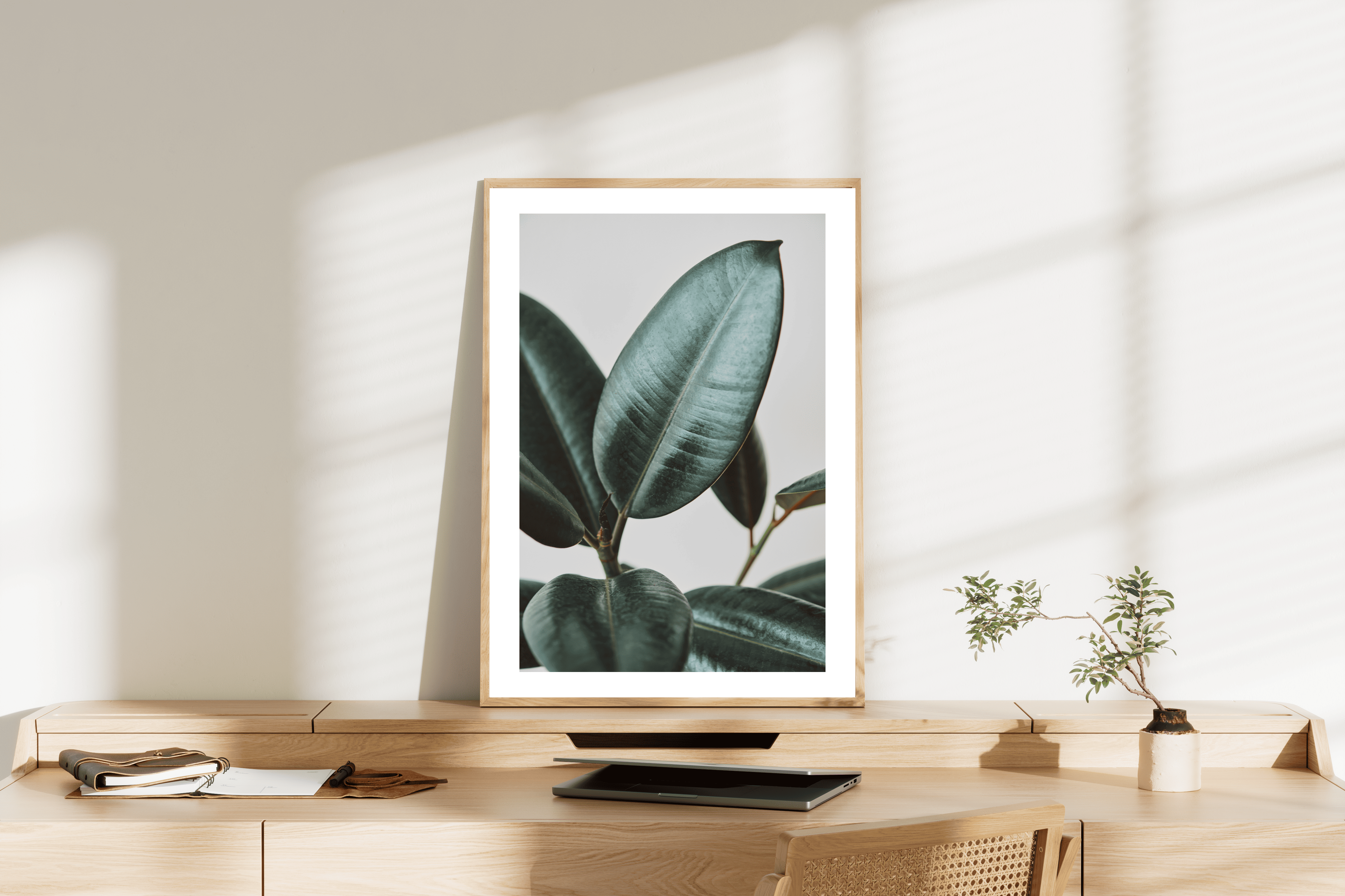 Botanik Sanat | Ficus Elastica Posteri/Çerçevesiz
