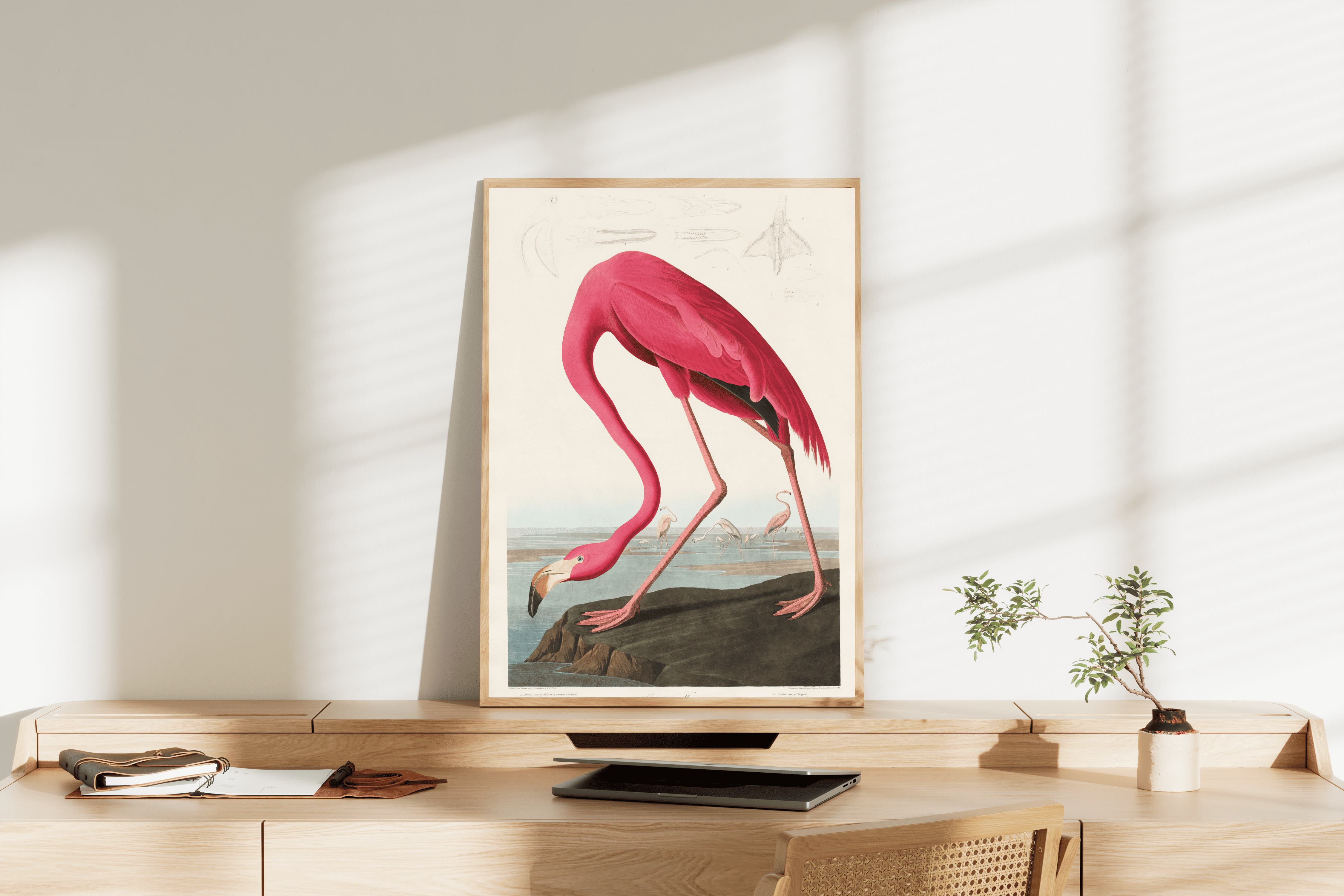 Doğa Sanatı | Pembe Flamingo Posteri/Çerçevesiz