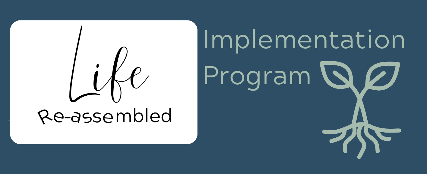 Coming Soon! Re-assemble Your Life: Implementation Program