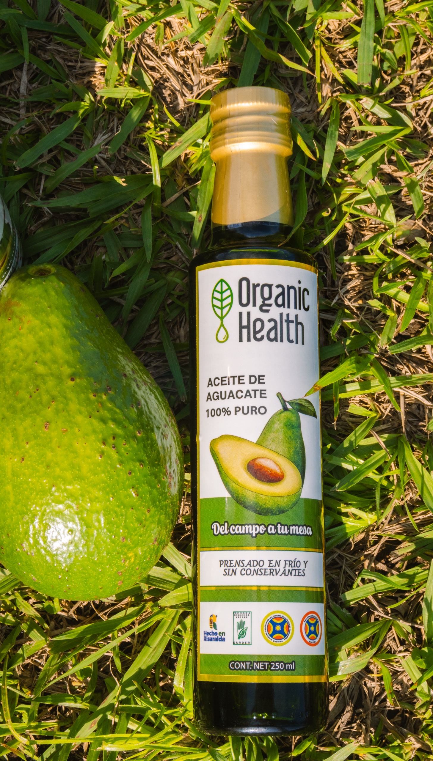 Aceite de aguacate 100% puro