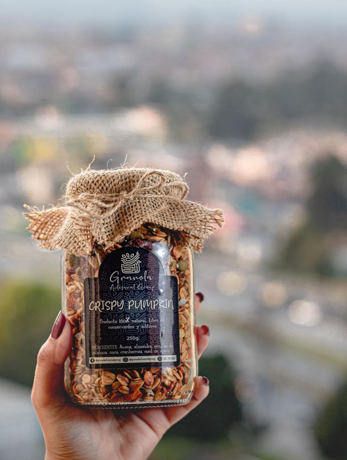 Granola Chocolate Dream