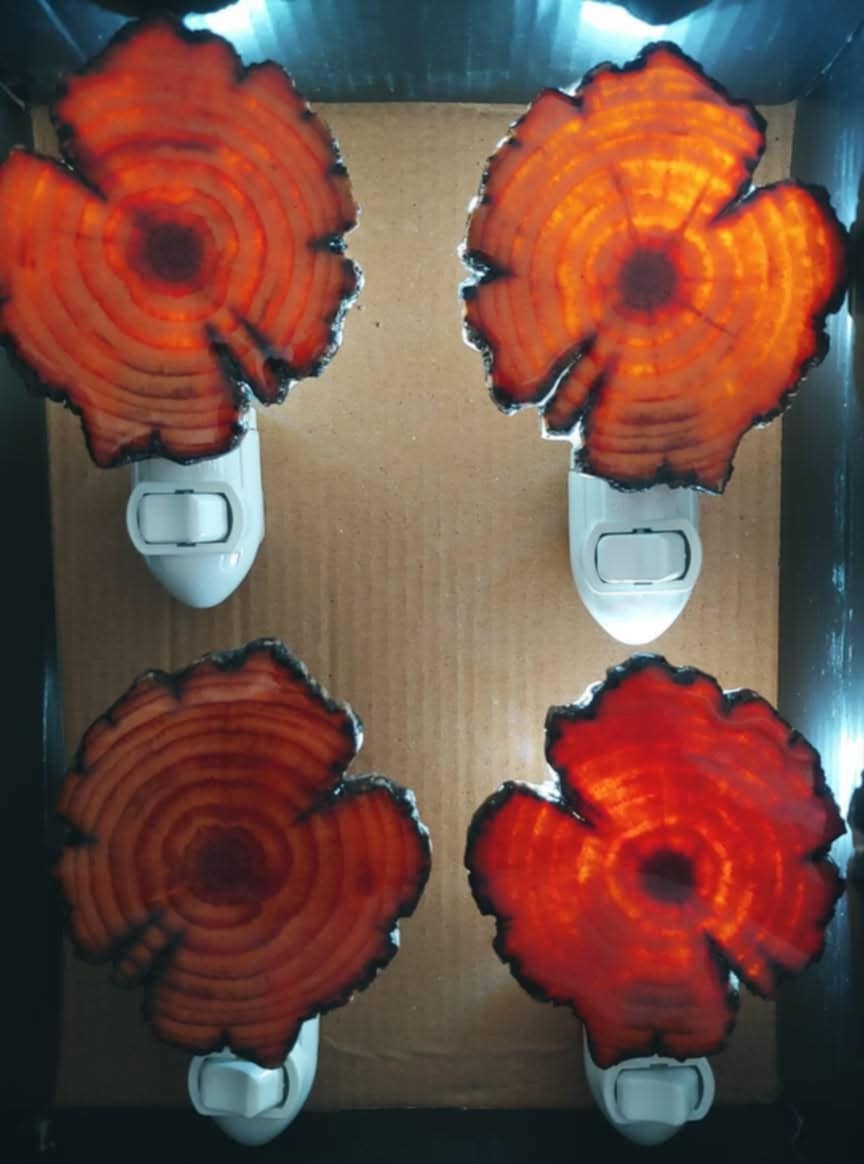 Wood Slice Night Lights