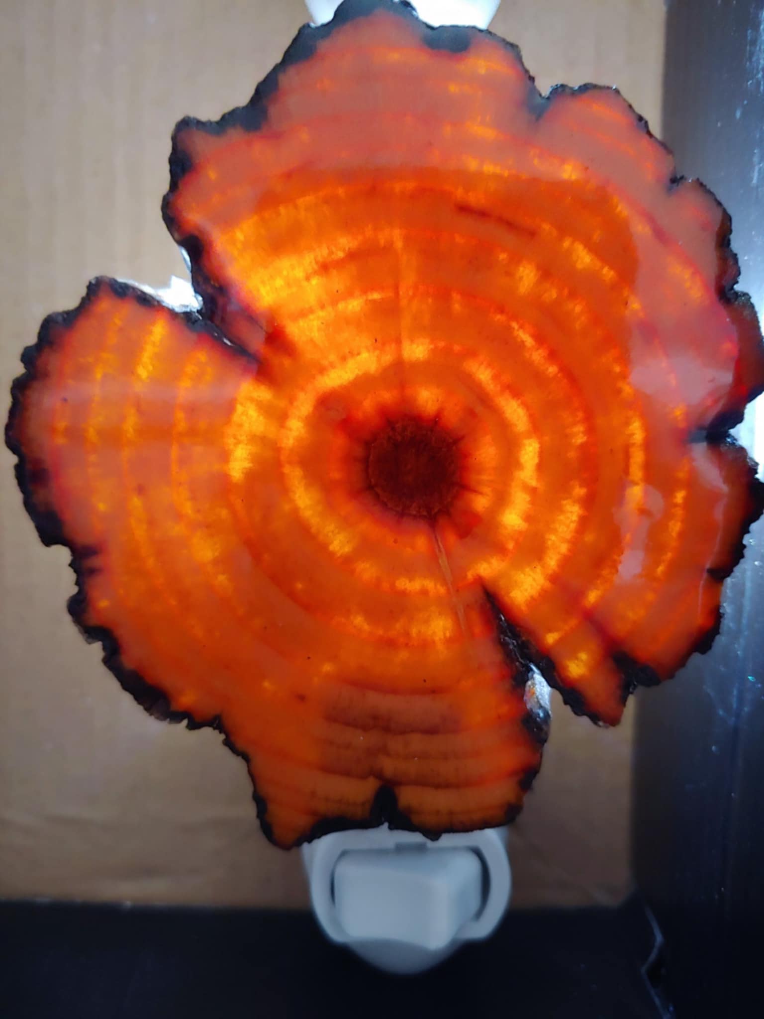 Agate Slice Night Light