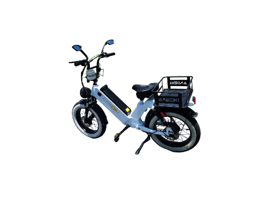 Aniioki Electric Cargo Bike