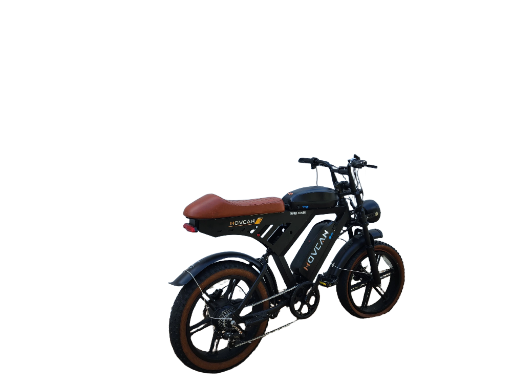 Movcan Electric Bike