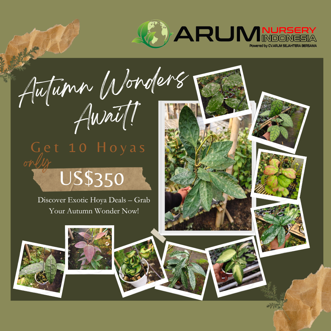Autumn Wonders Await!