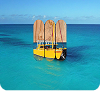 Yellow Paddle Boat