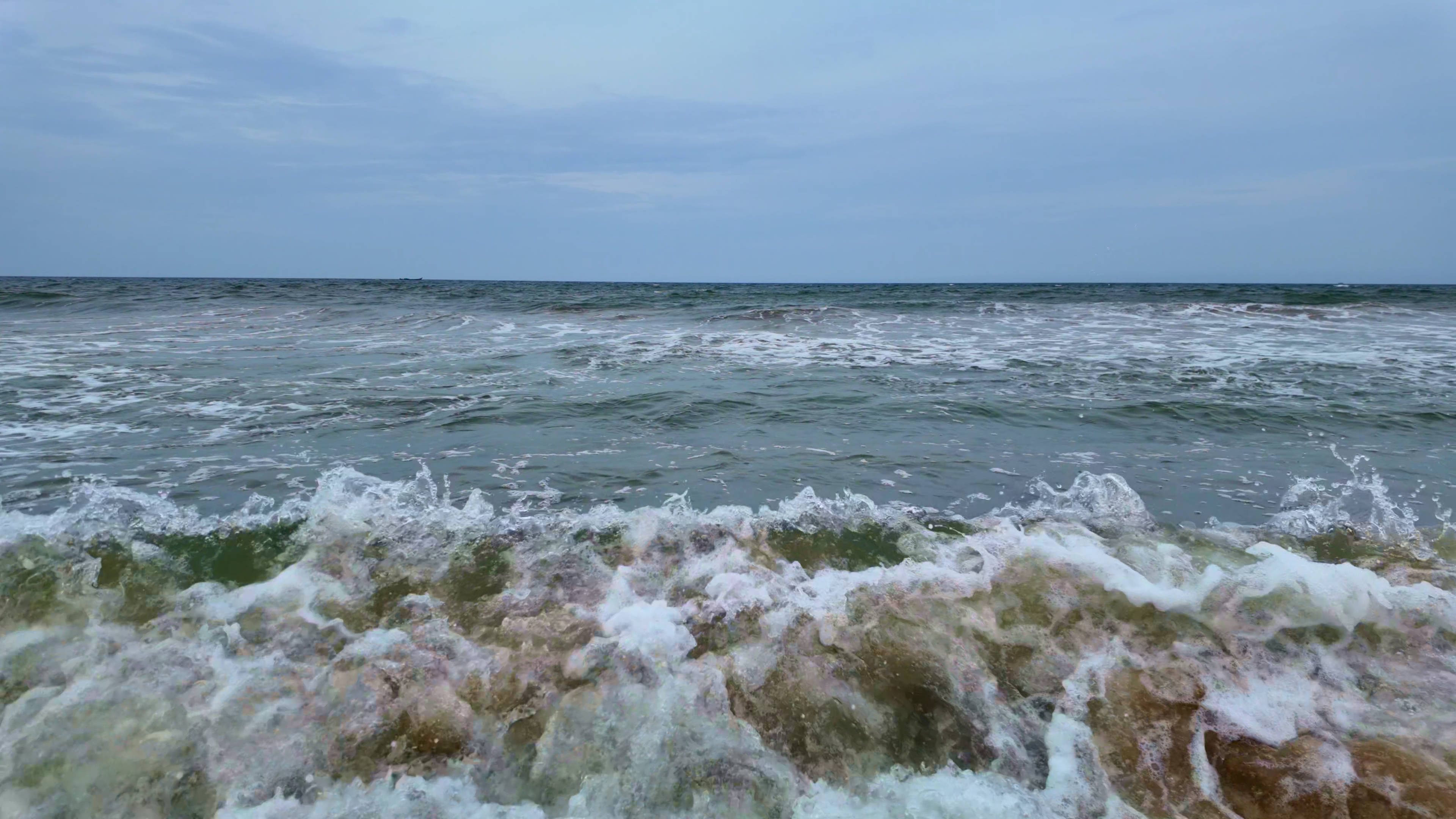 Premium beach wave background video