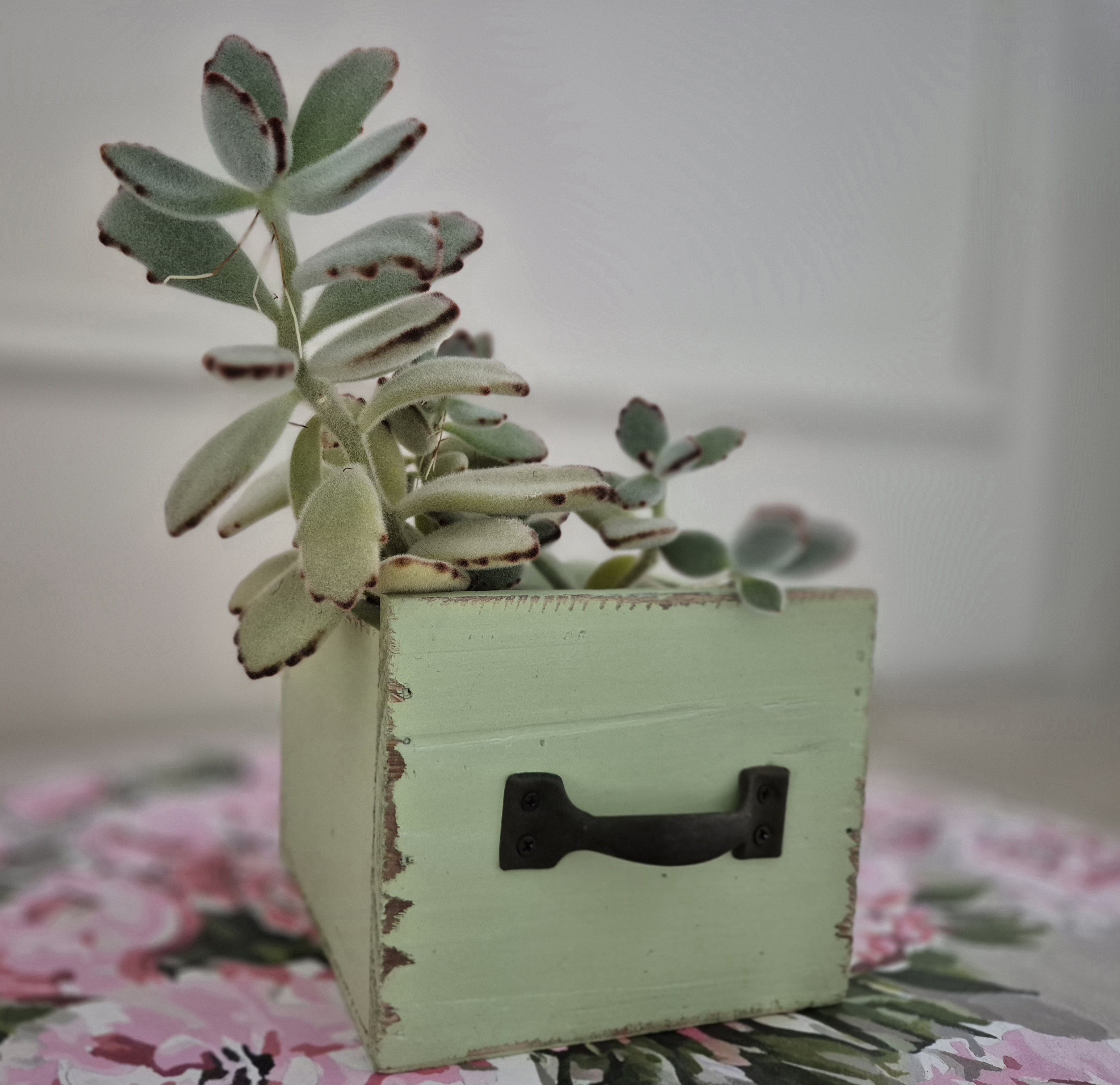 Žalia medinė dėžutė "PAVASARIO STALČIUKAS III"