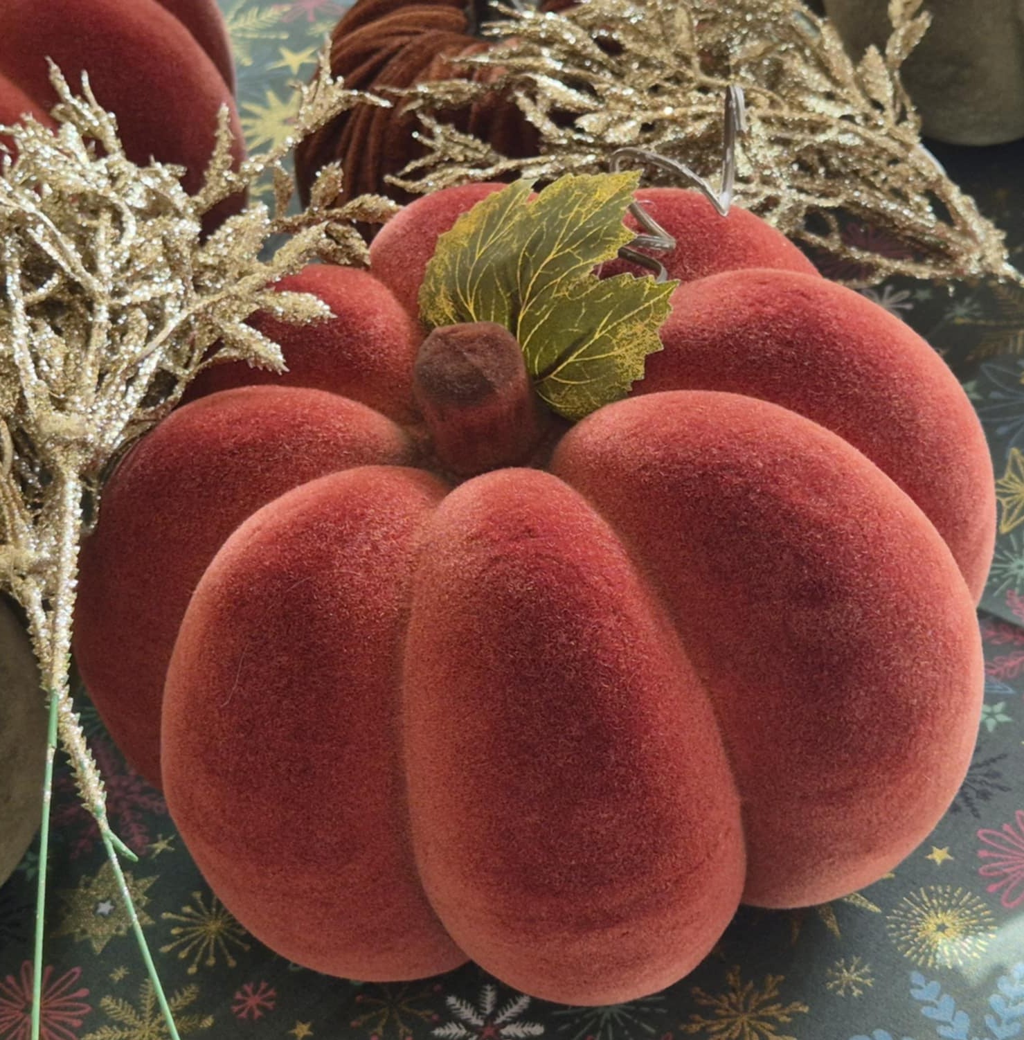 Raudonas aksominis moliūgas (20 cm)