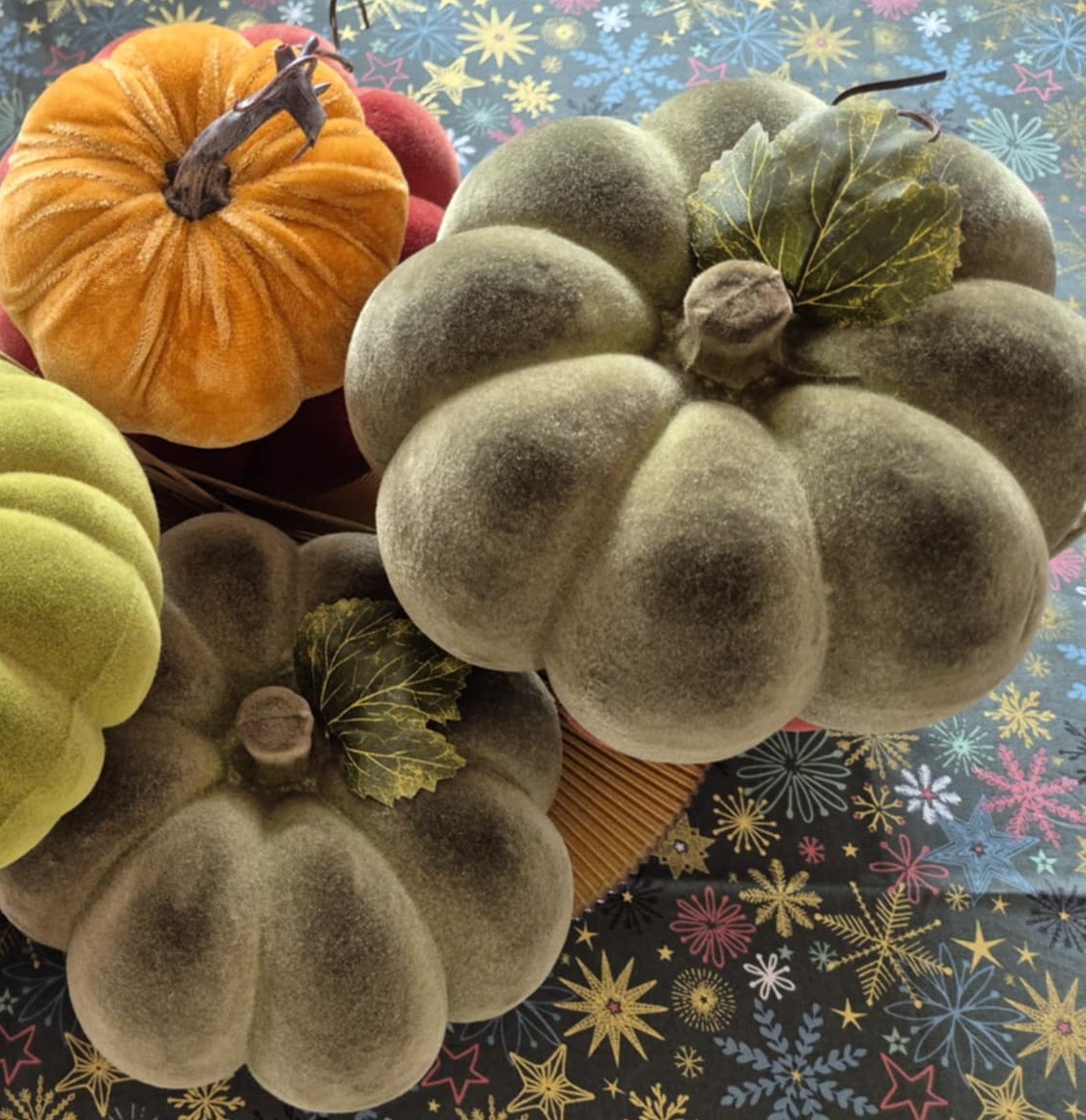 Žalias aksominis moliūgas (20 cm)