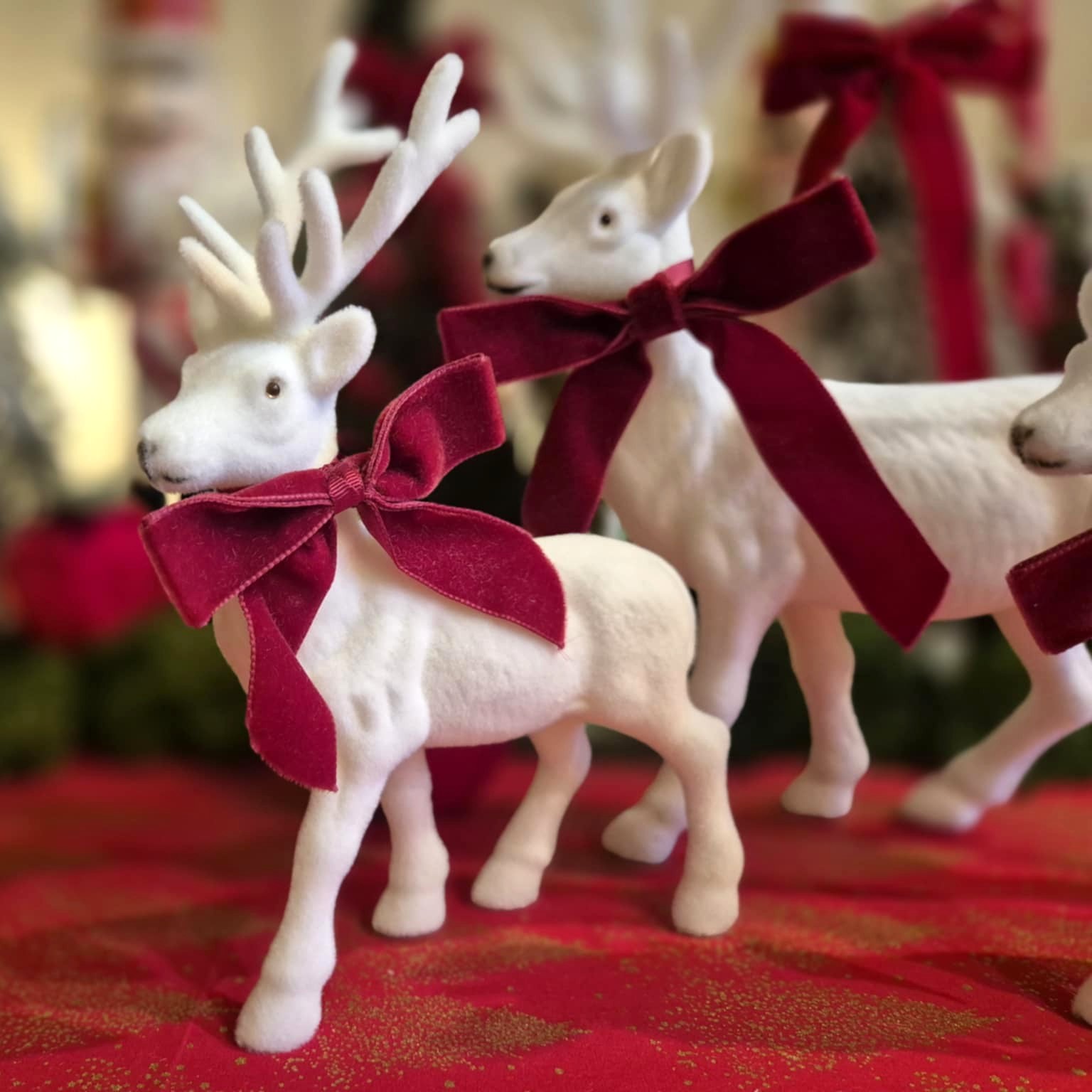 Baltų aksominių elnių šeima su raudonais kaspinais (3 vnt.)