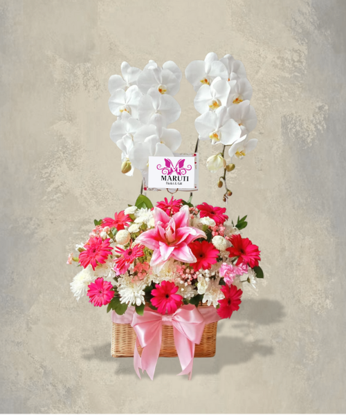 VO06 Vase & Orchid