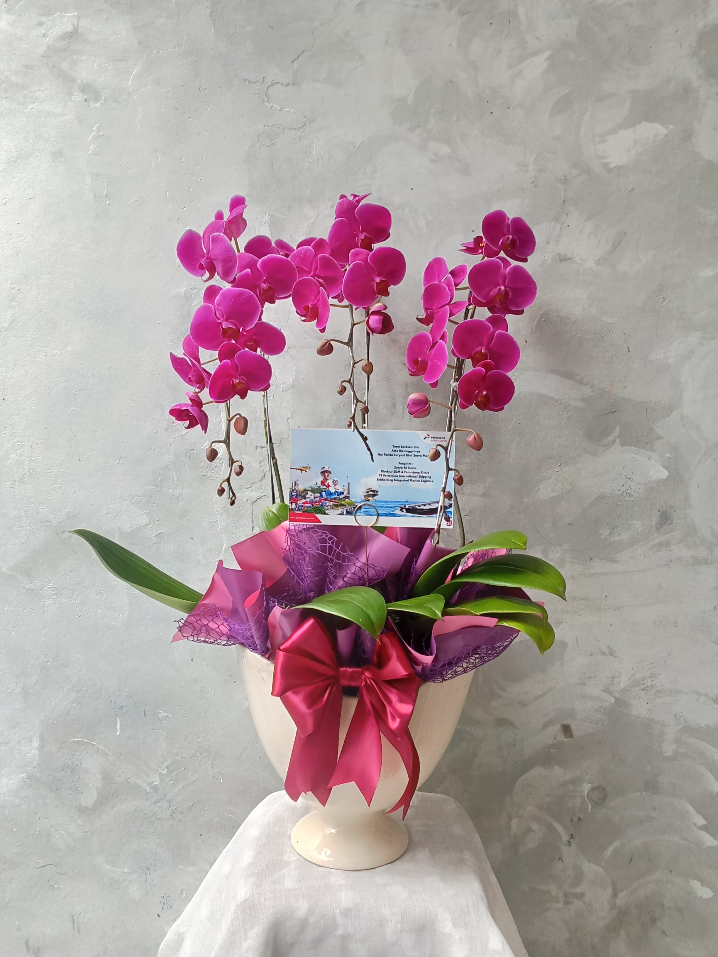 Orchid Puspa Ayudisa