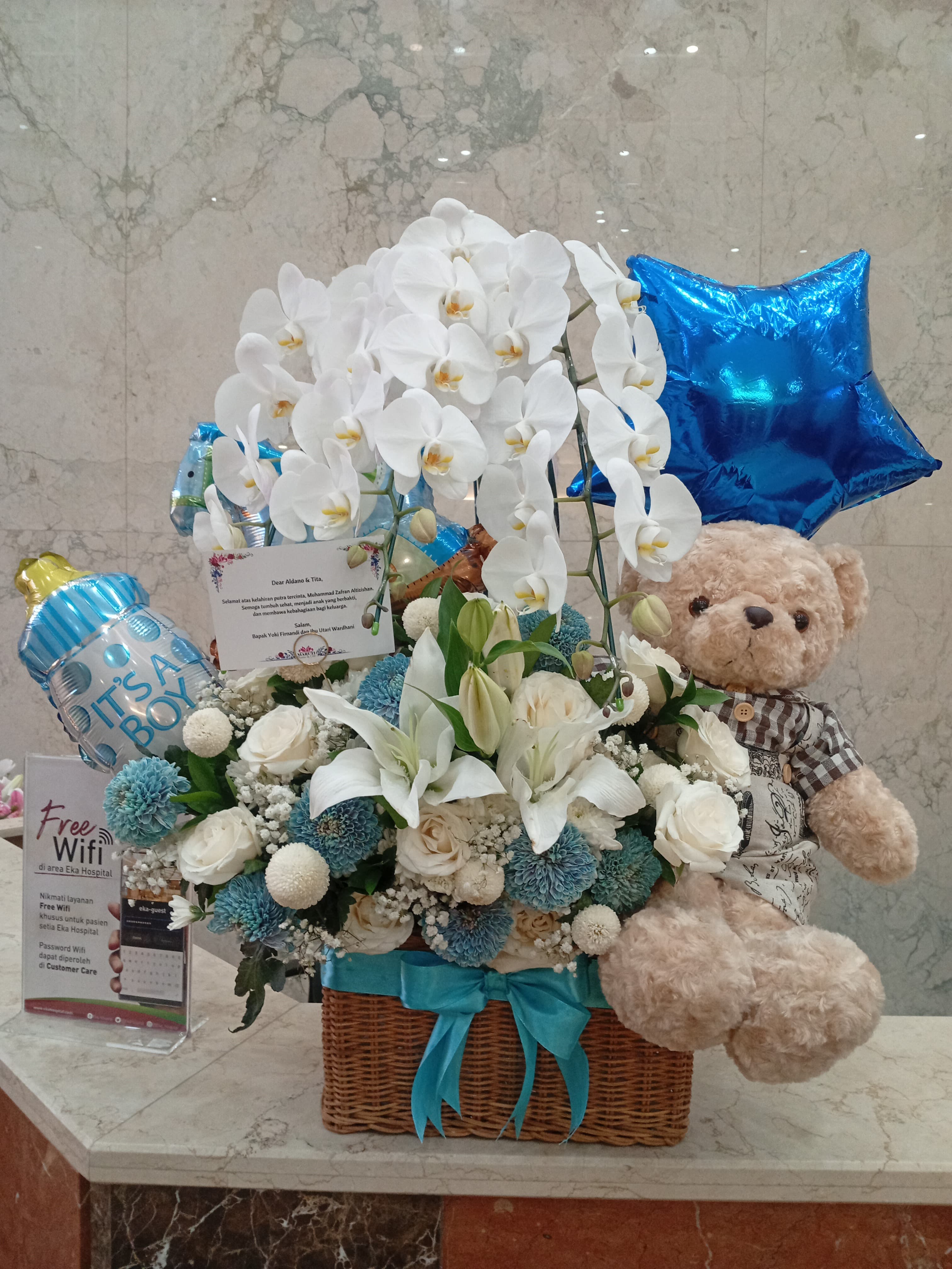 Baby Flower Gentala
