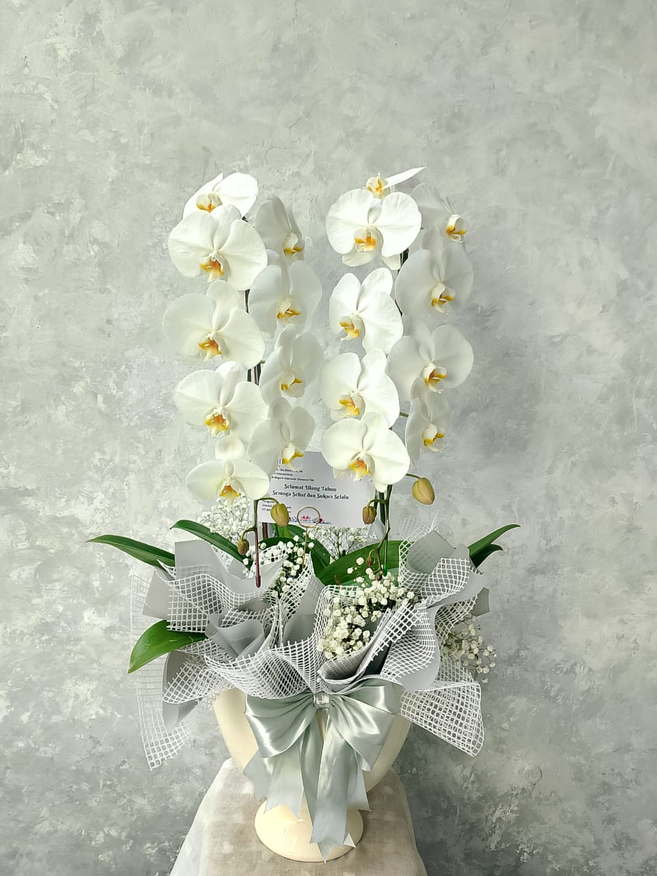 Orchid Puspa Anandya