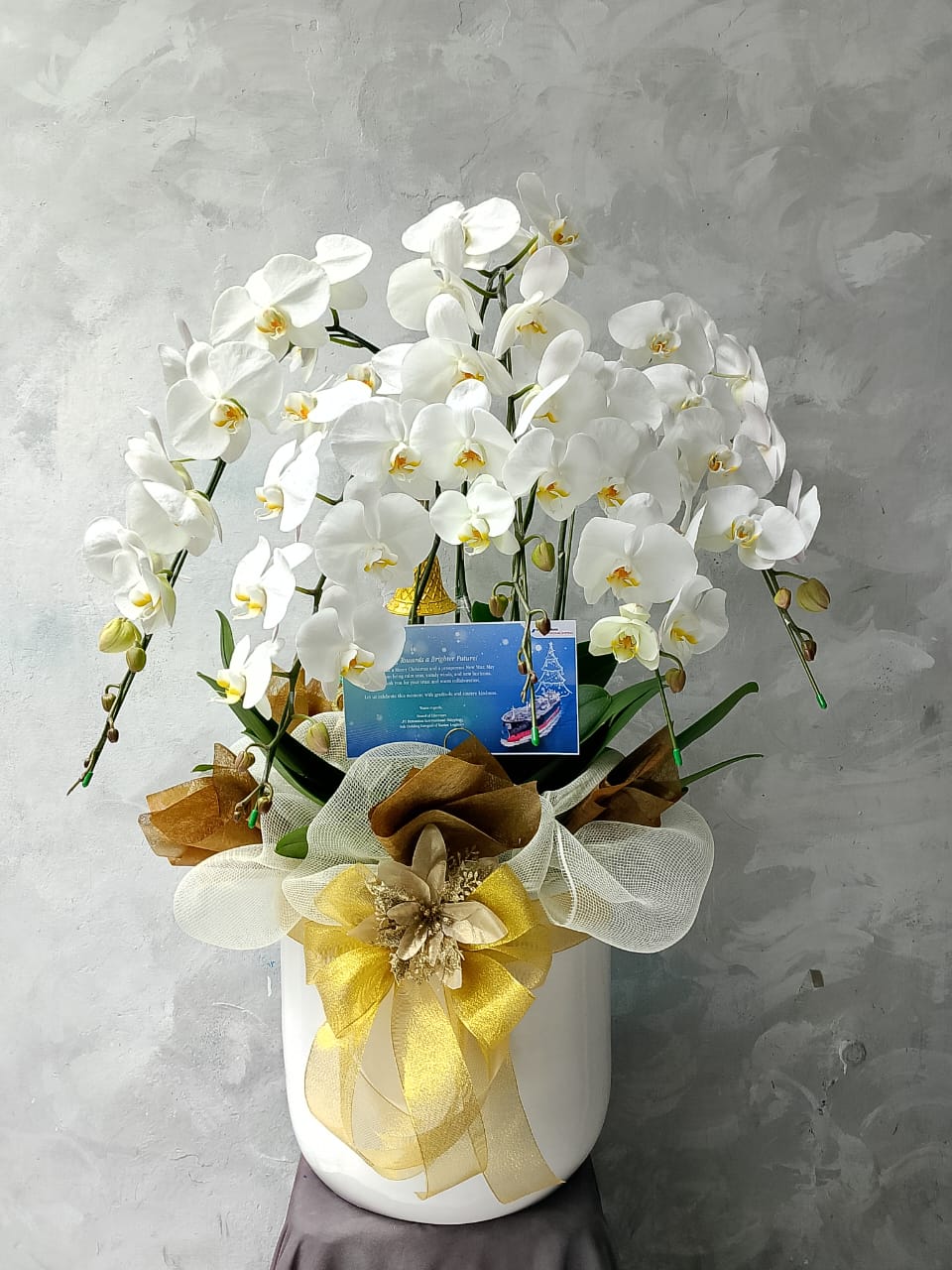Orchid Puspa Paramastri