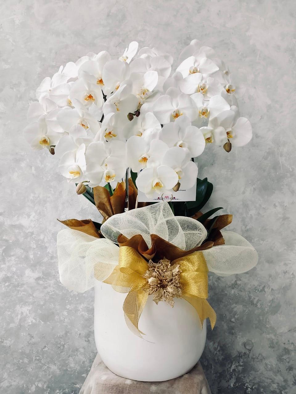 Orchid Puspa Paramastri