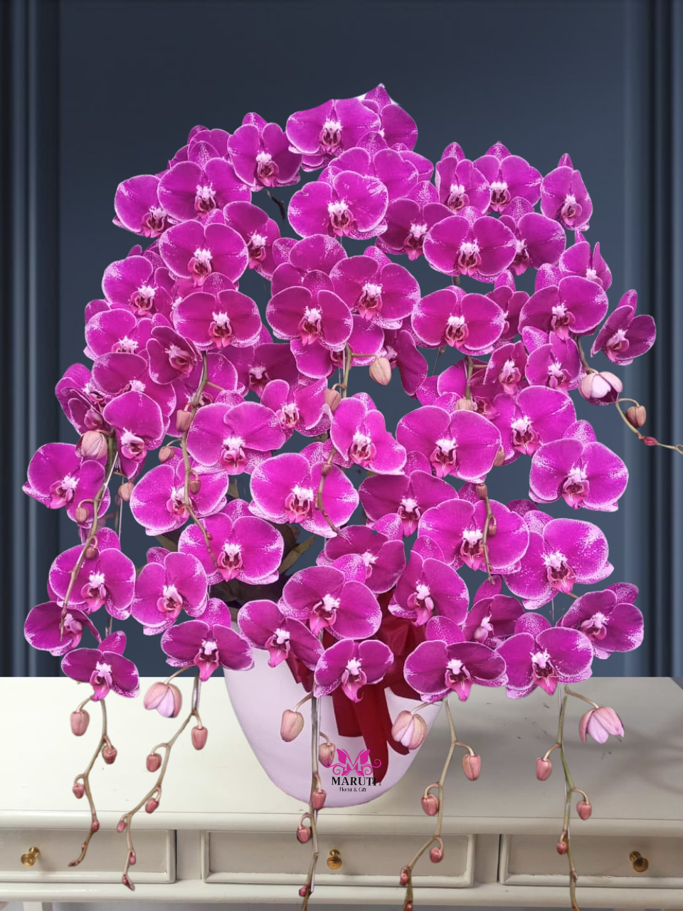 Orchid - O93
