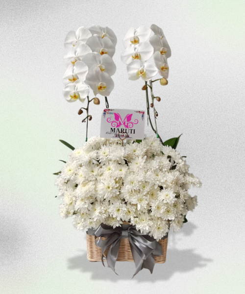 VO03 Vase & Orchid