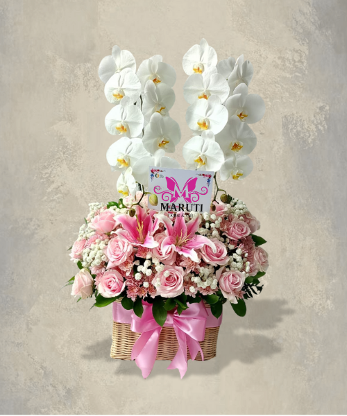 VO07 Vase & Orchid Araya - Pink