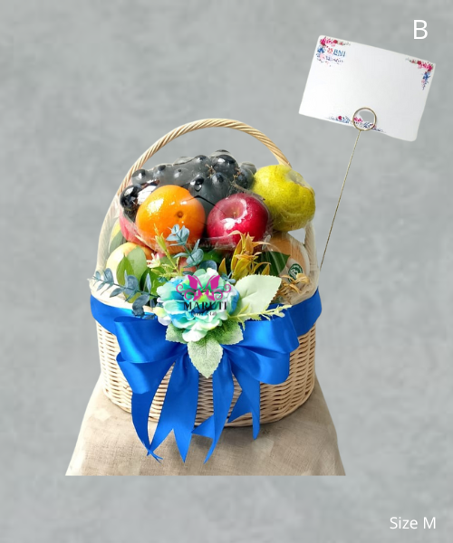 FH19 Charusheela Blue