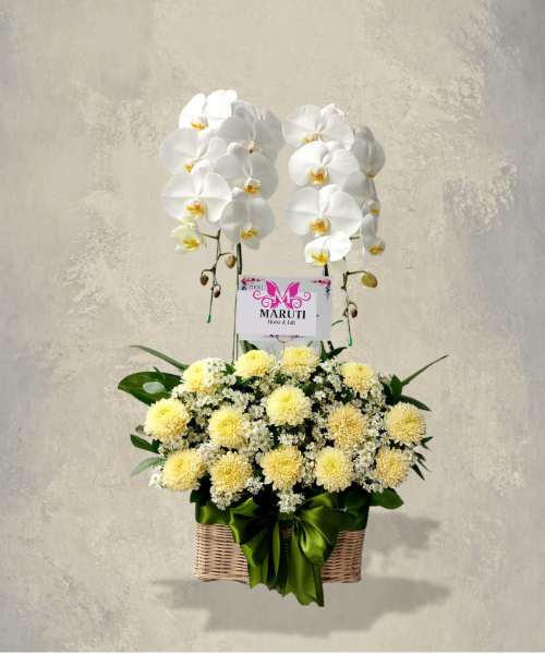 VO05 Vase & Orchid