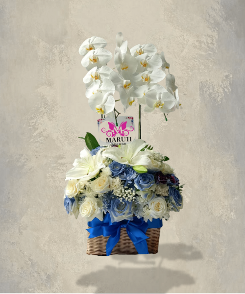VO04 Blue with Orchid