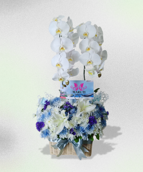 VO08 Vase & Orchid