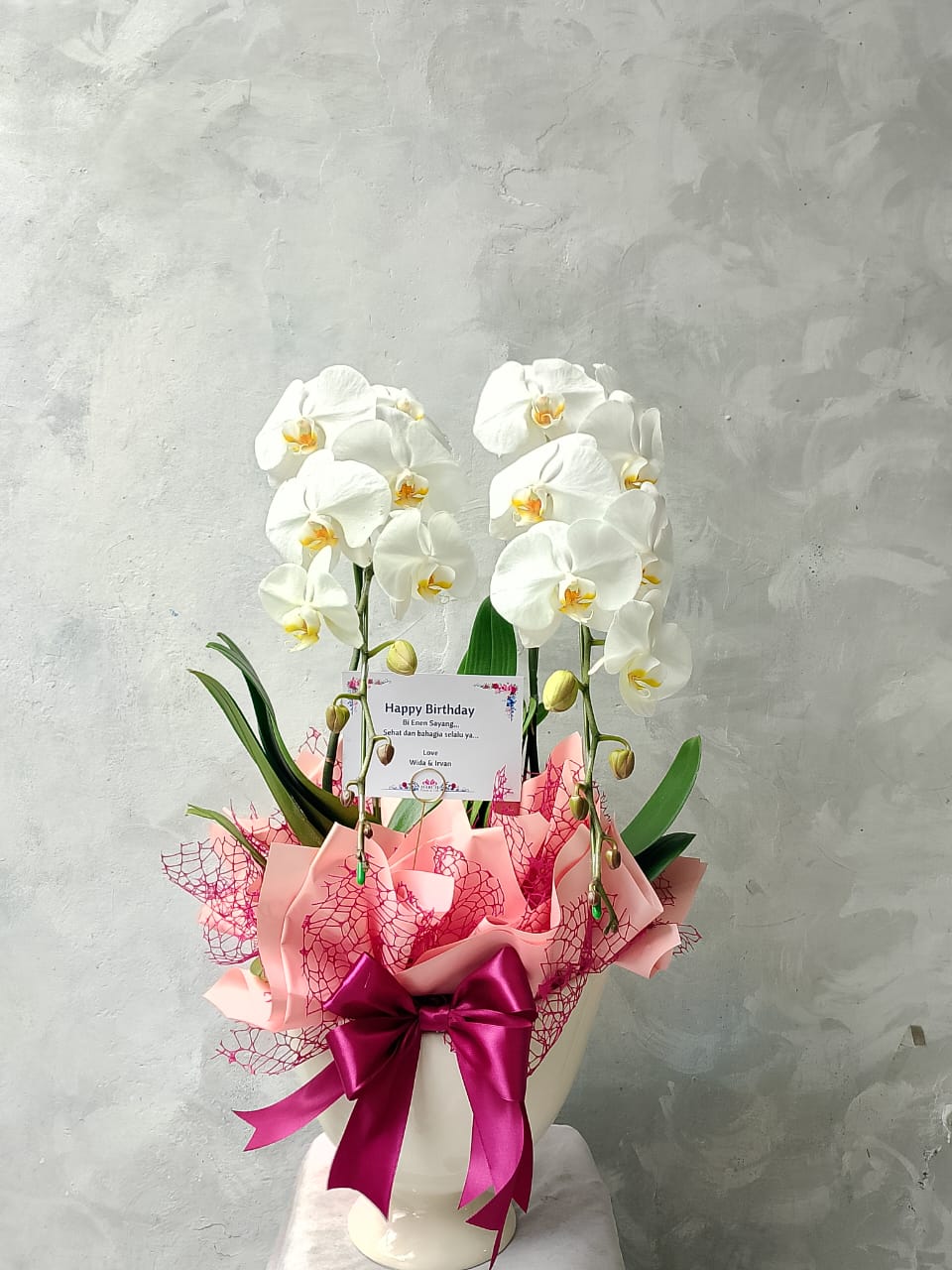 Orchid Puspa Anandya