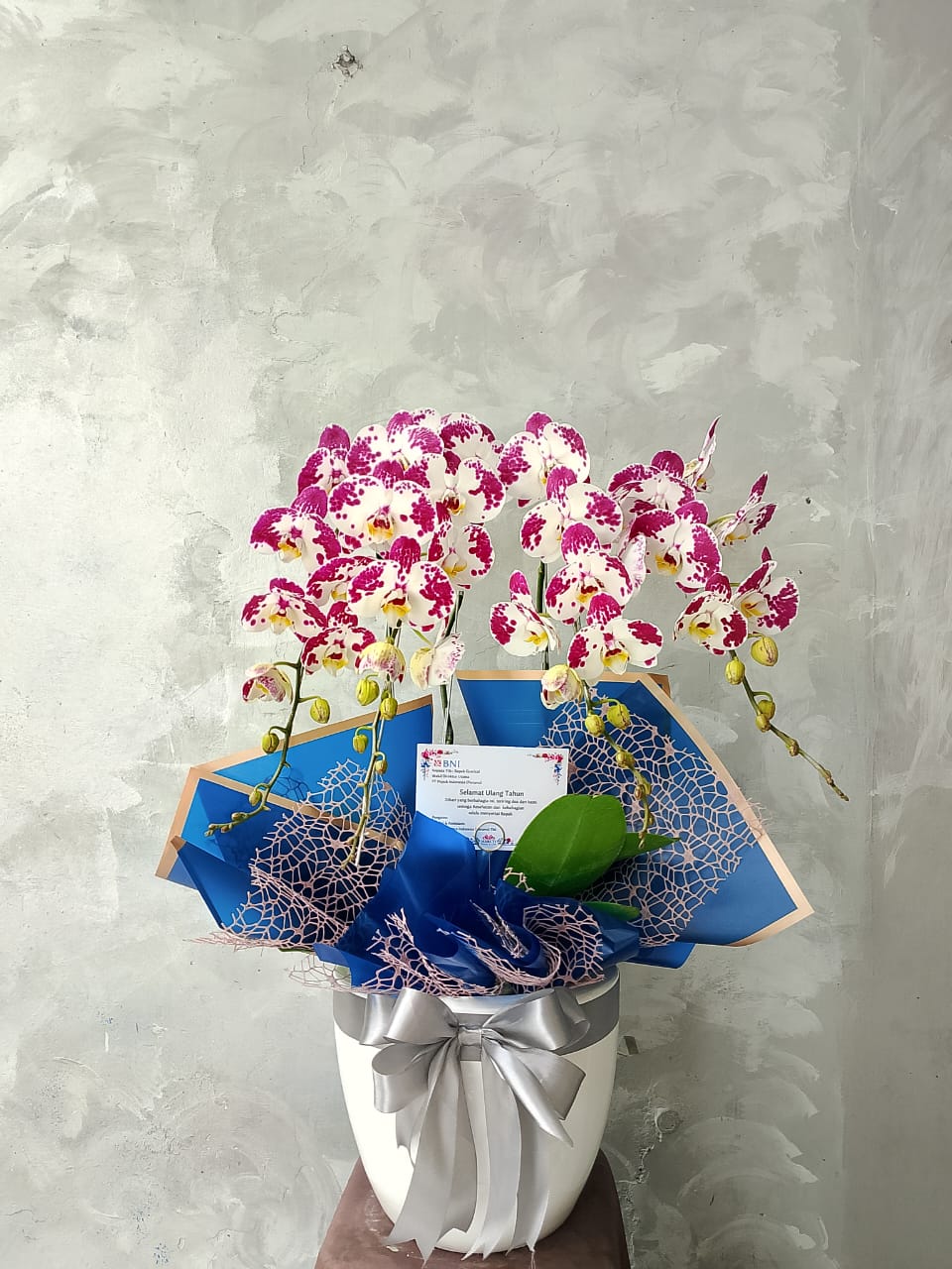 Orchid Puspa Dianti
