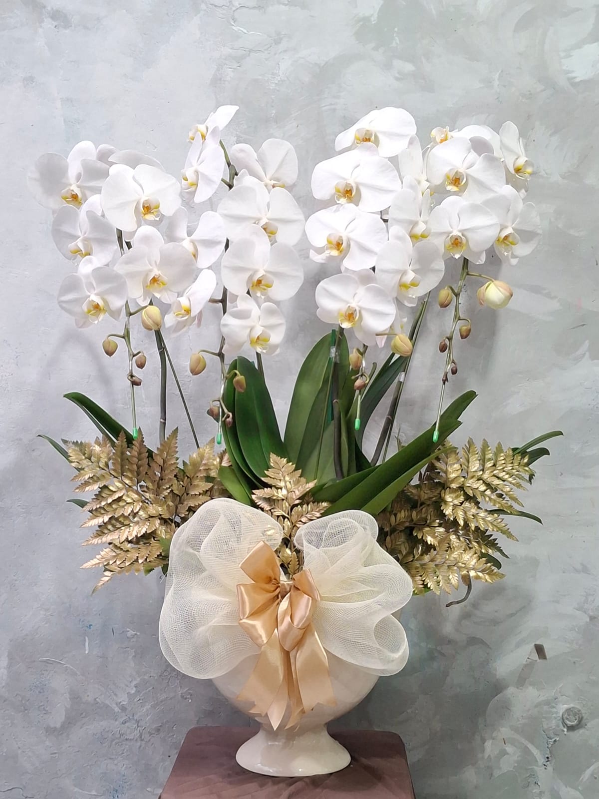 Orchid Puspa Elvantri
