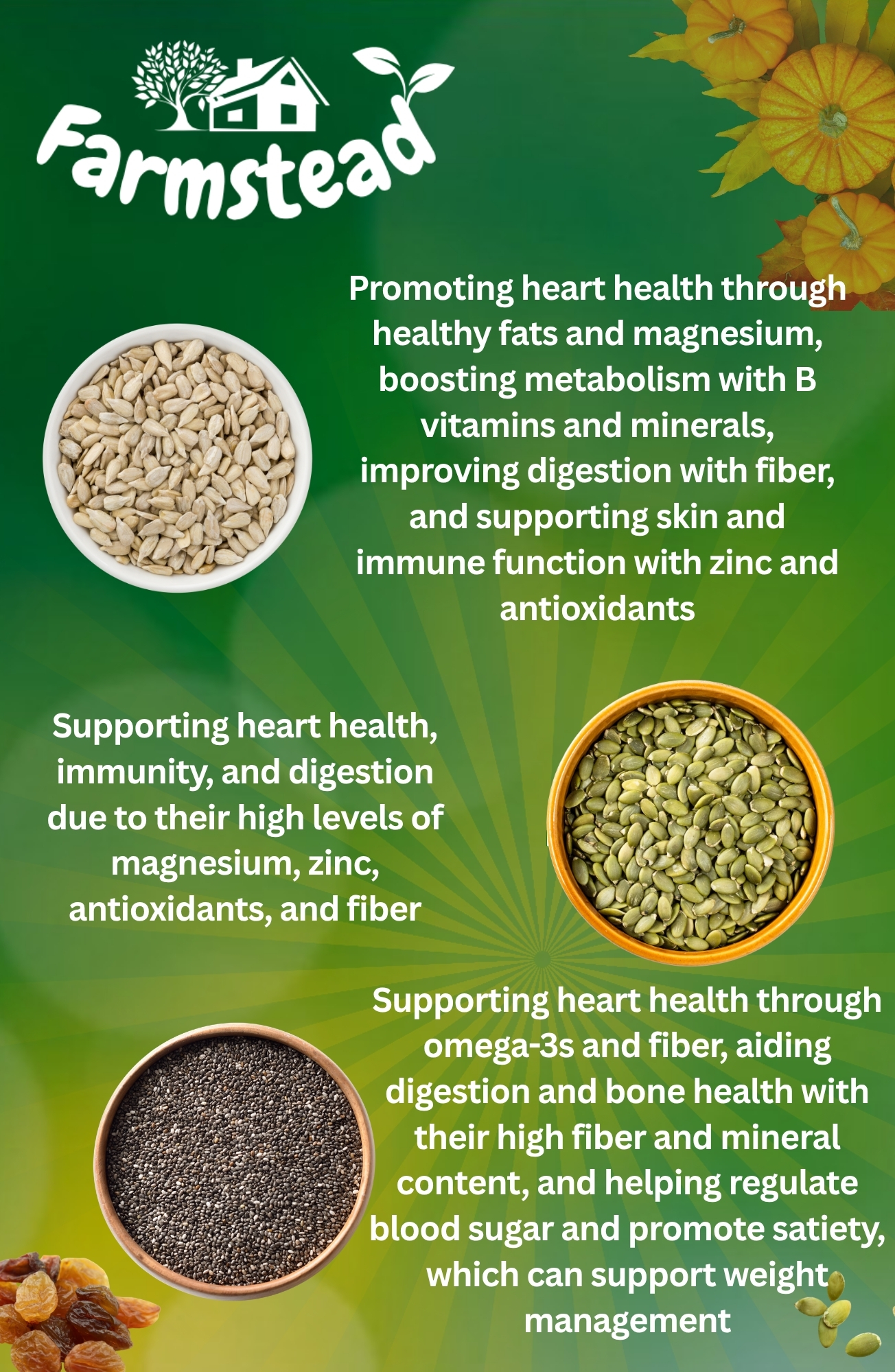 Farmstead Preimum Mixed Seeds (200 g) - Edible Seeds | Healthy | Diet Snacks | 100% Natural - Pumpkin, Watermelon, Sunflower, Flax, Chia, Black Raisin