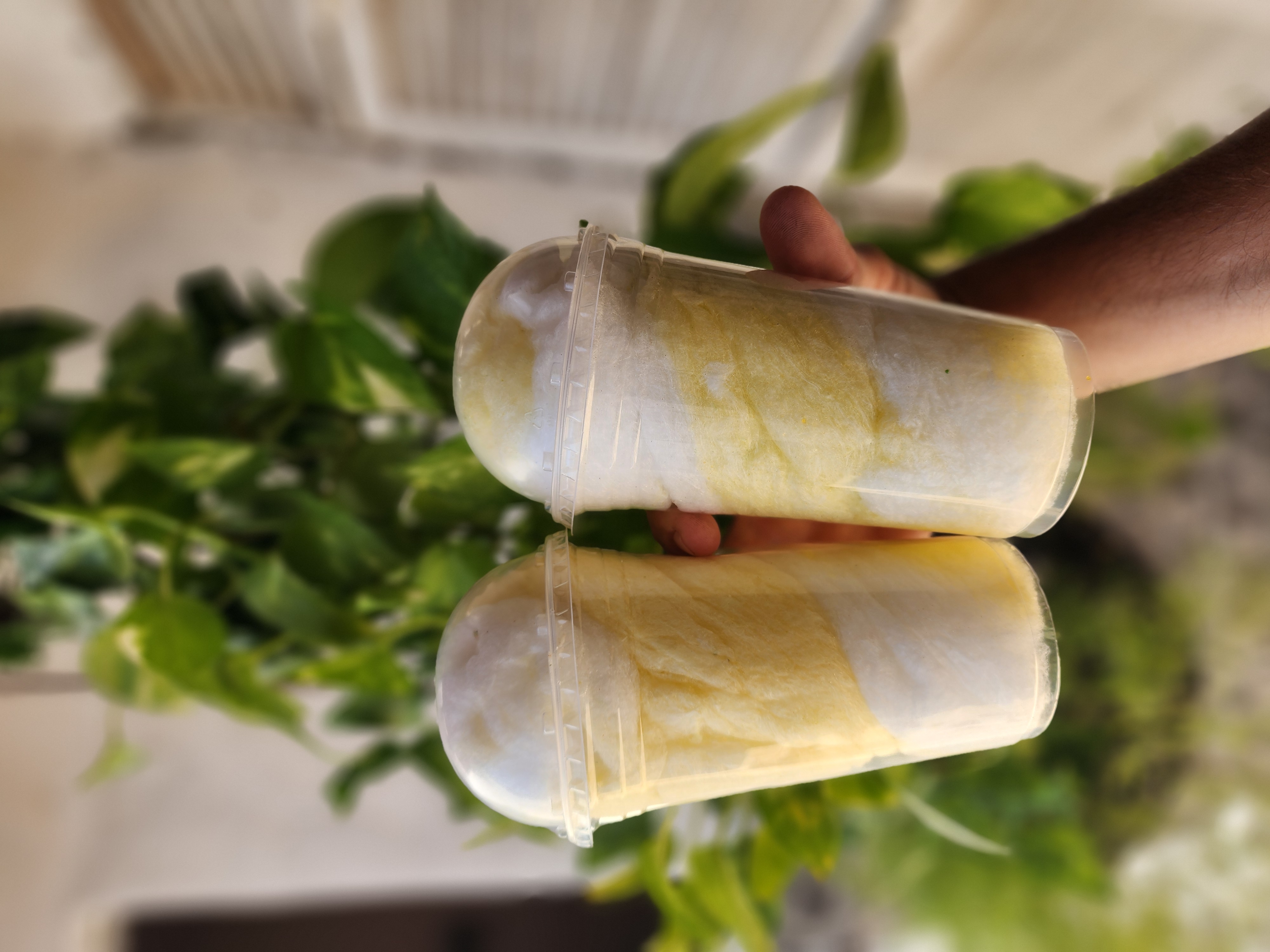 Algodão Doce No Copo Bolha 500ml (MESCLADO)