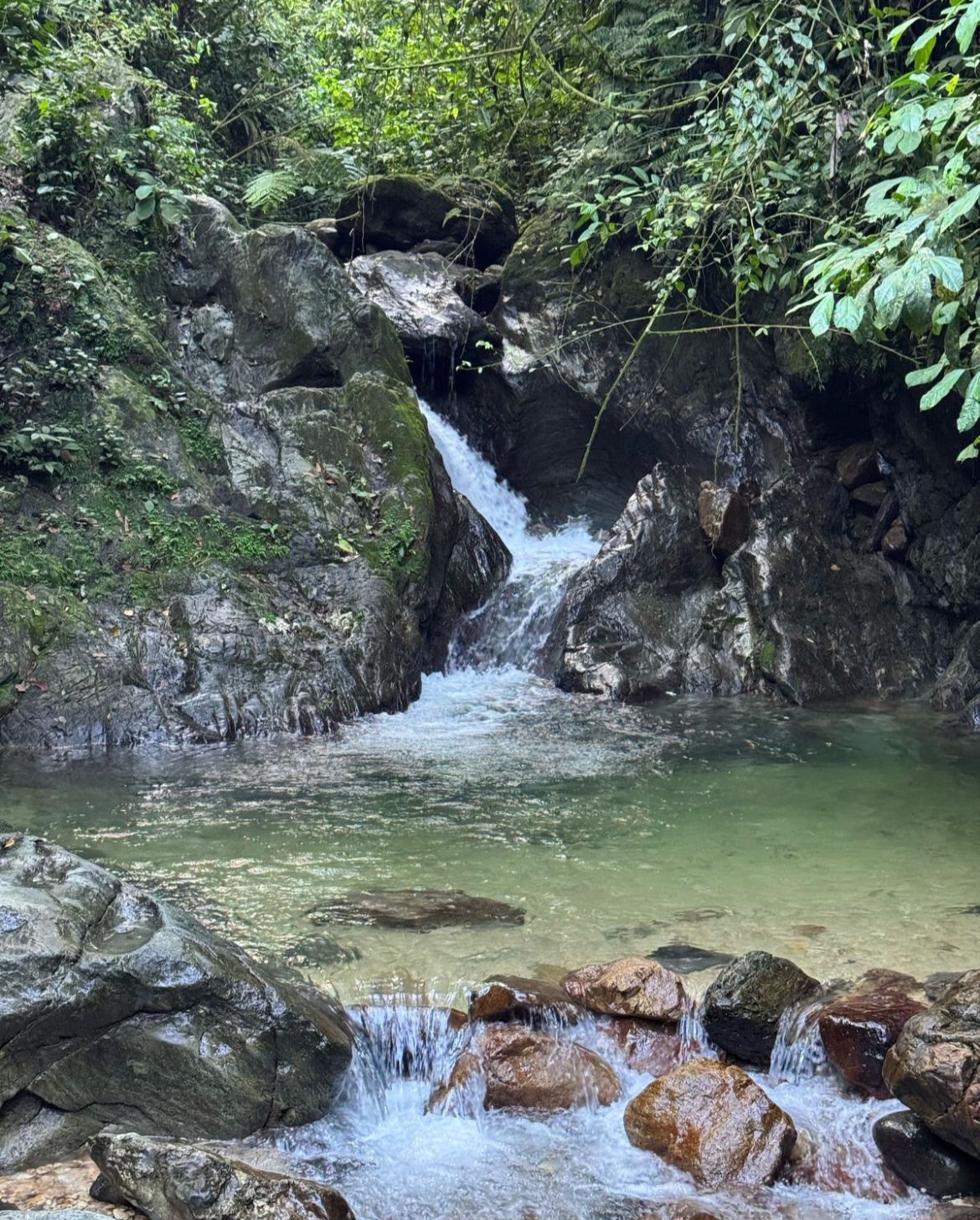 Plan Afluentes Embalse Amaní - Ruta 3
