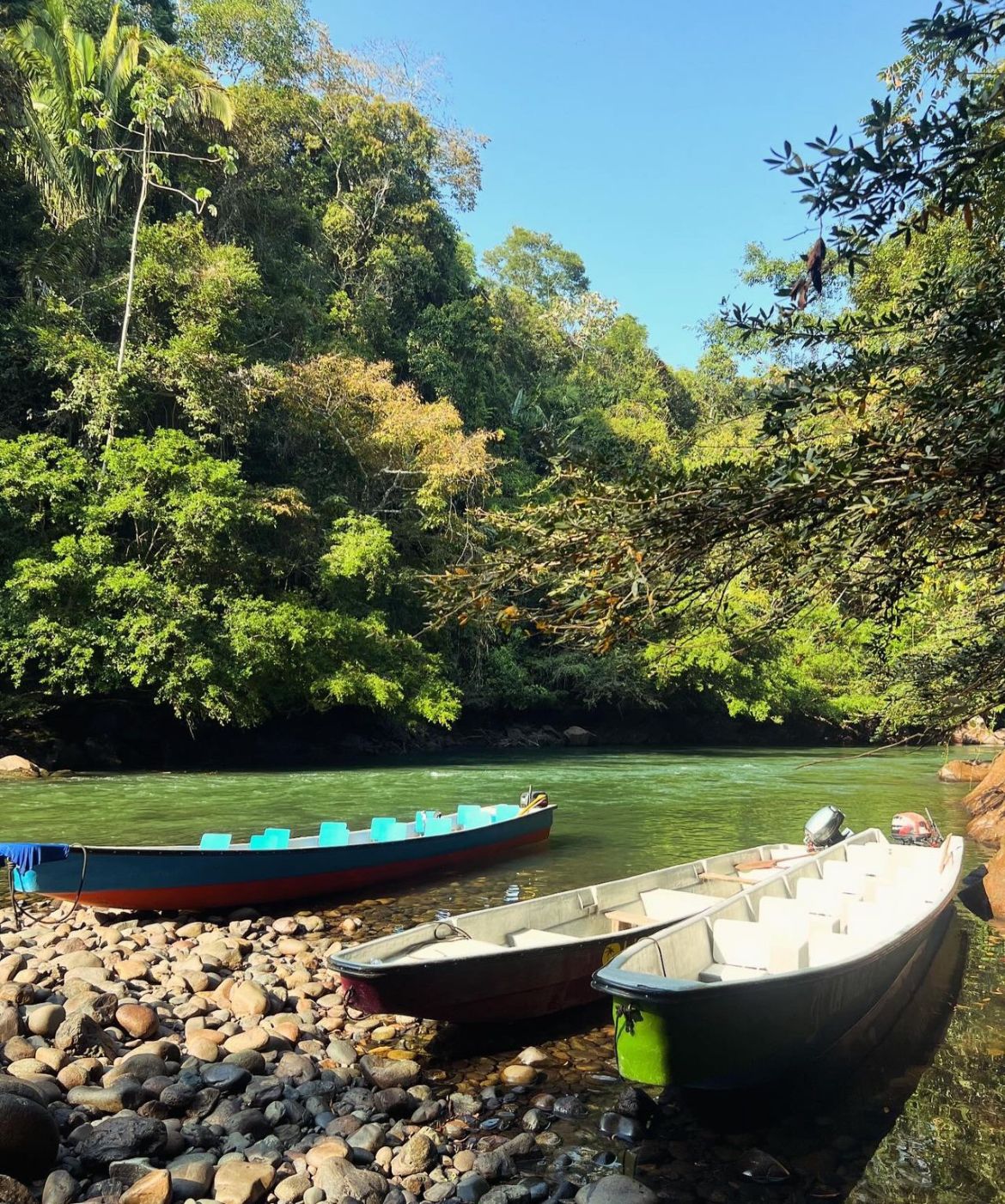 Pasadía Río La Miel