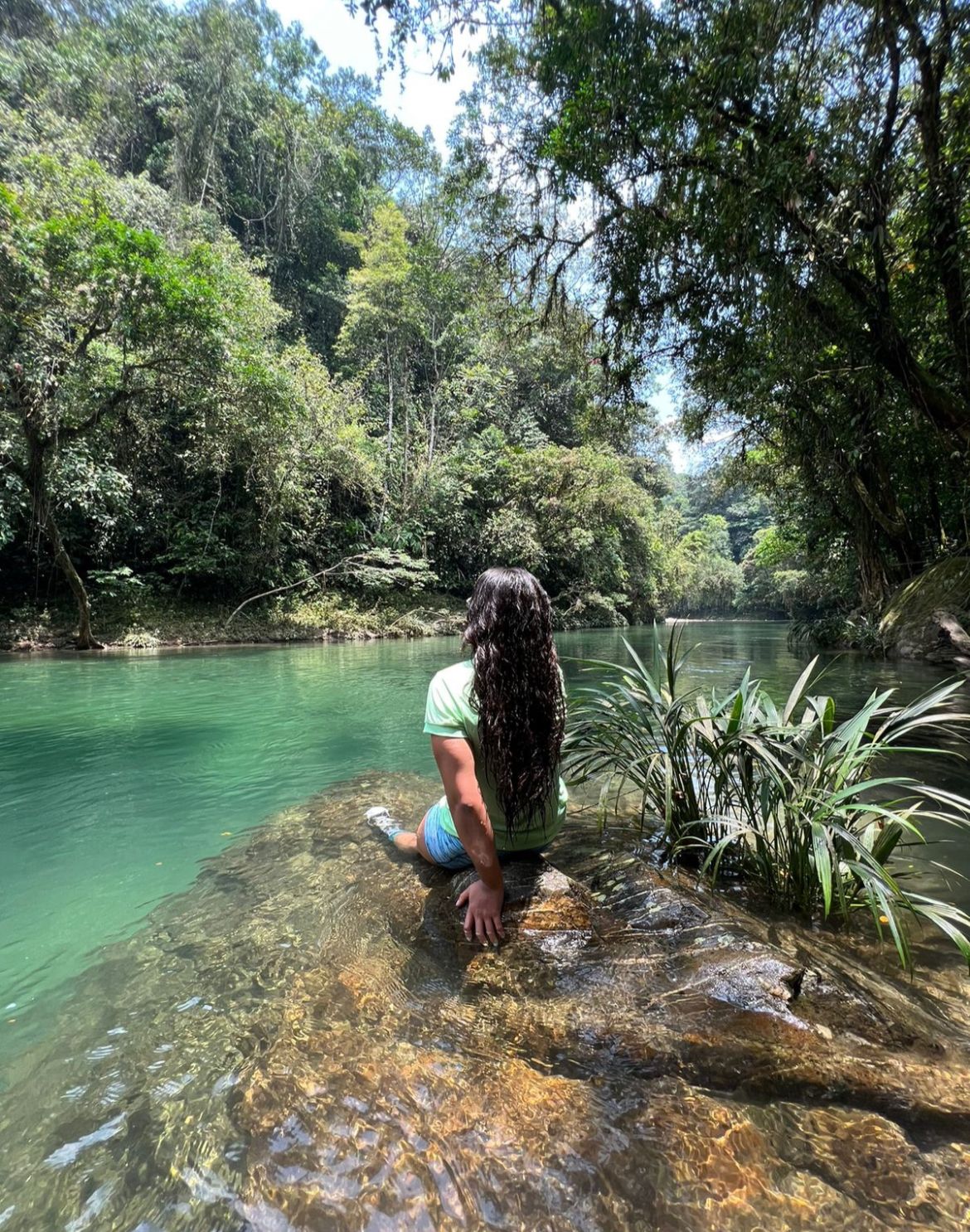 Alegría Plan - 1 day / 1 night