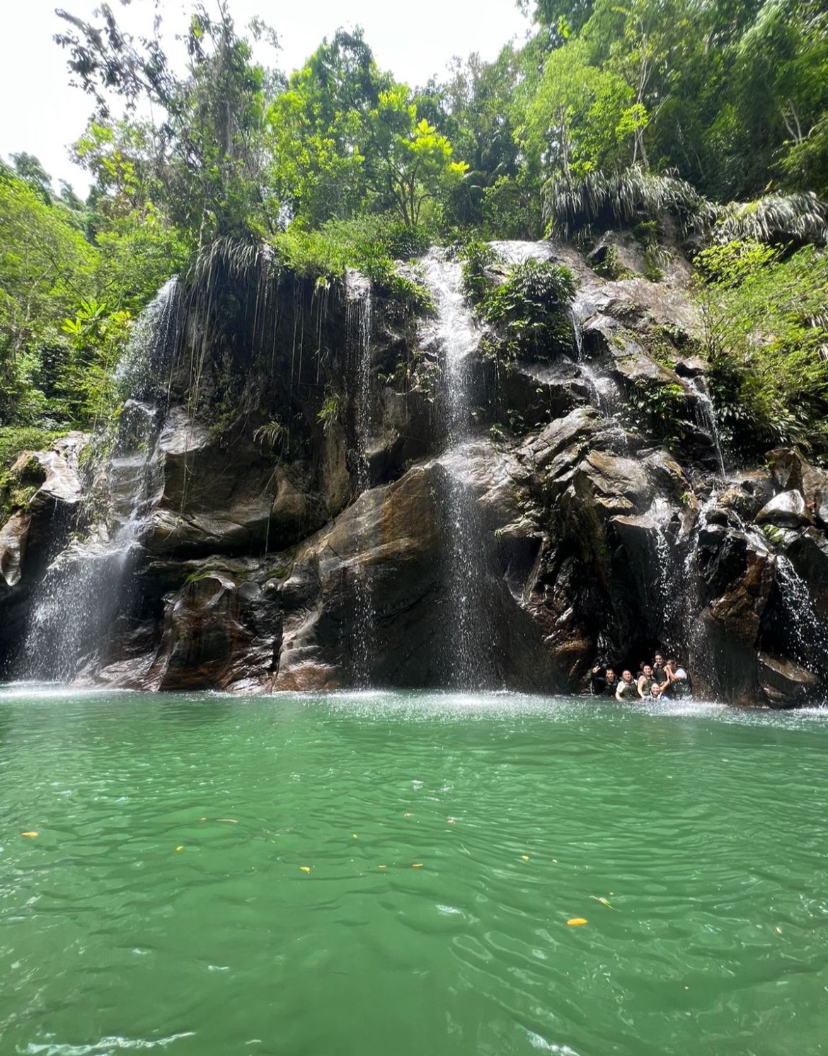 Pasadía Río La Miel