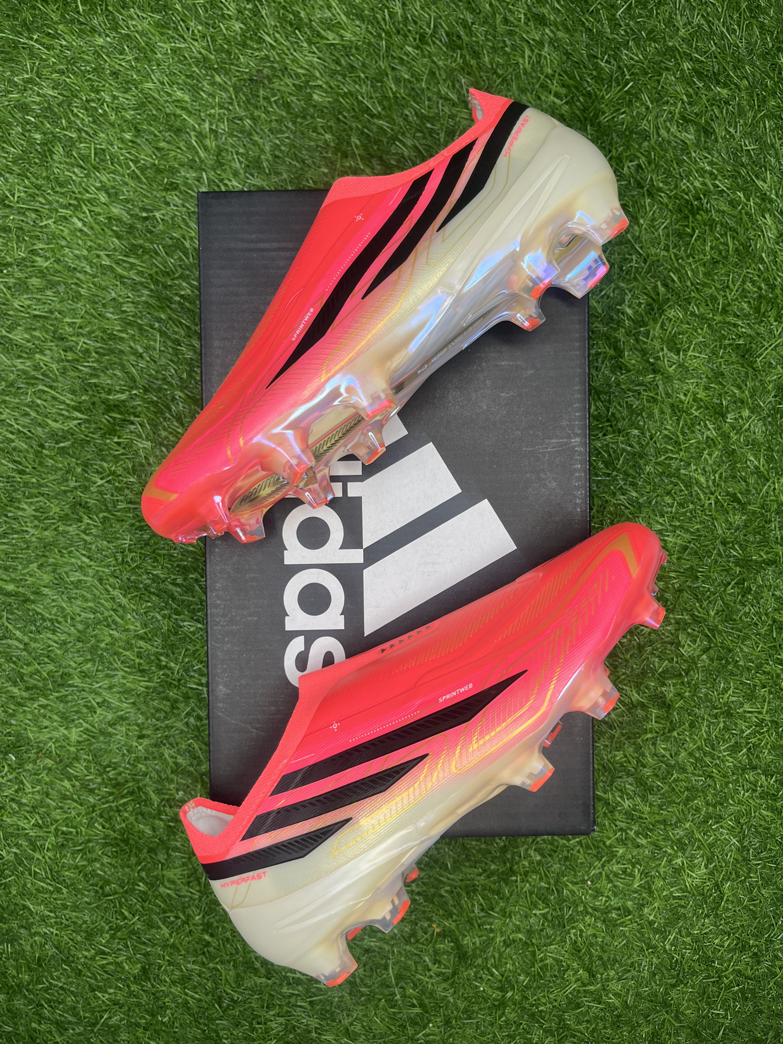 F50 Road to Glory