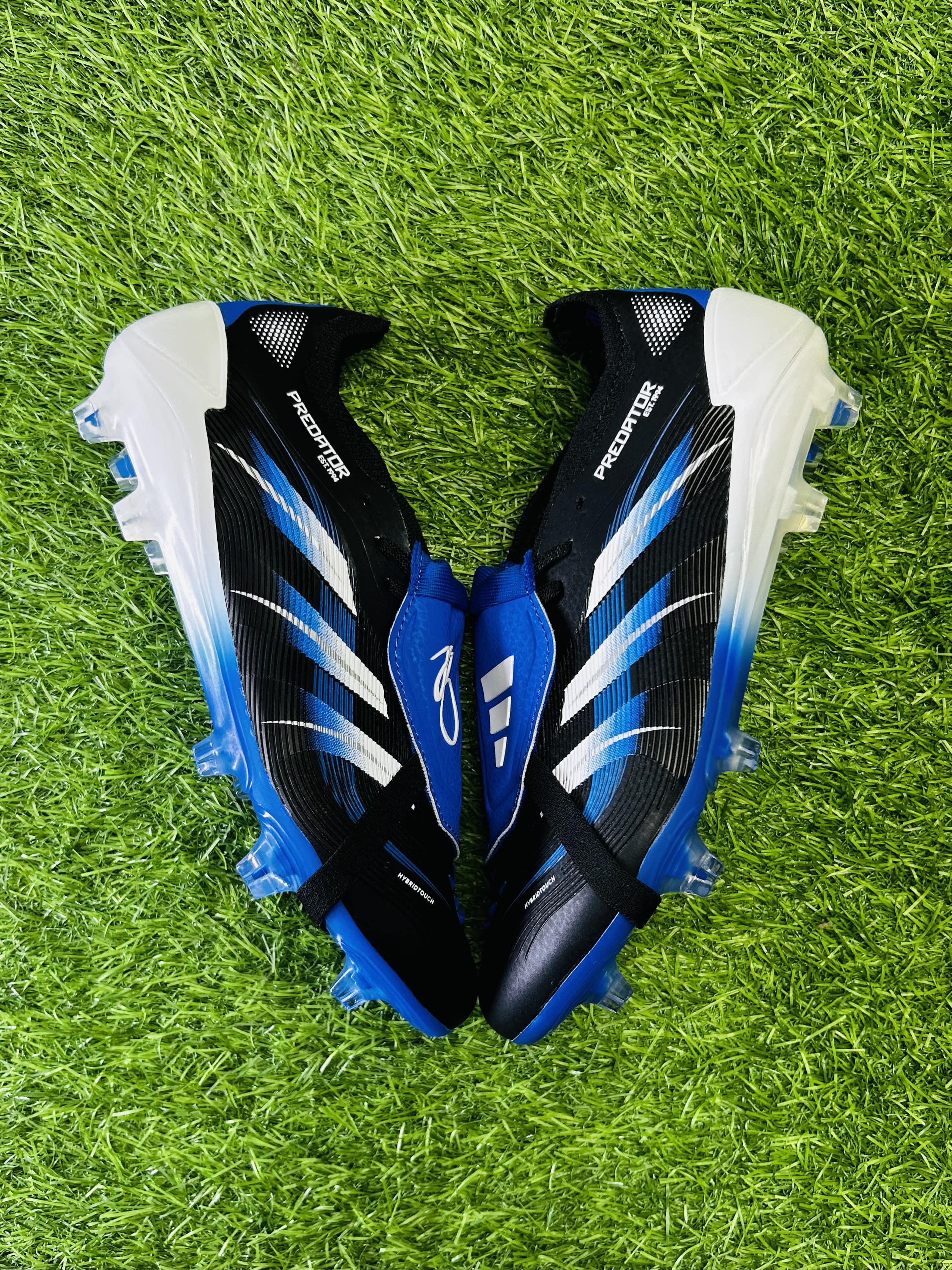 Predator 30 Bellingham