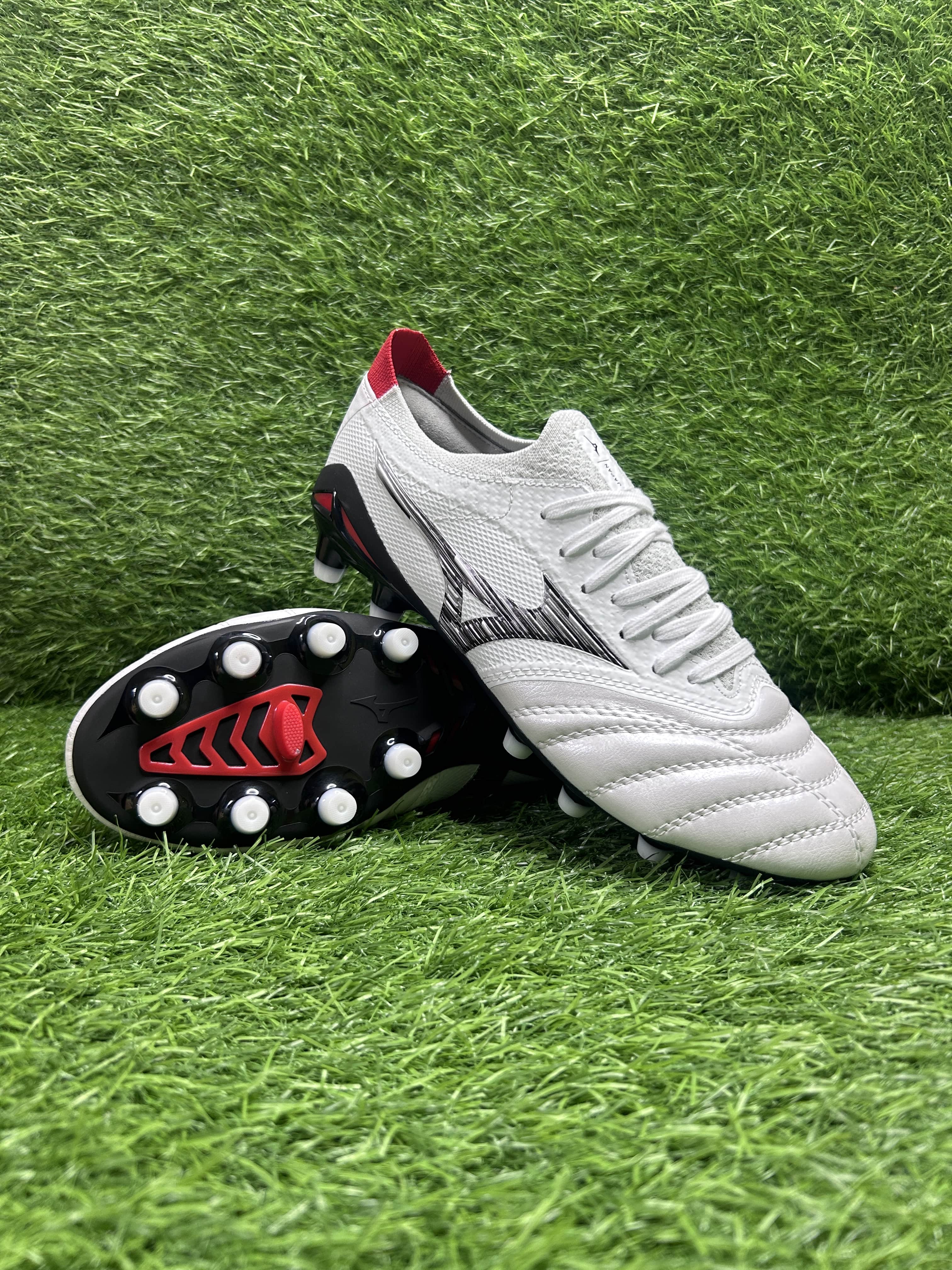Morelia White colourway