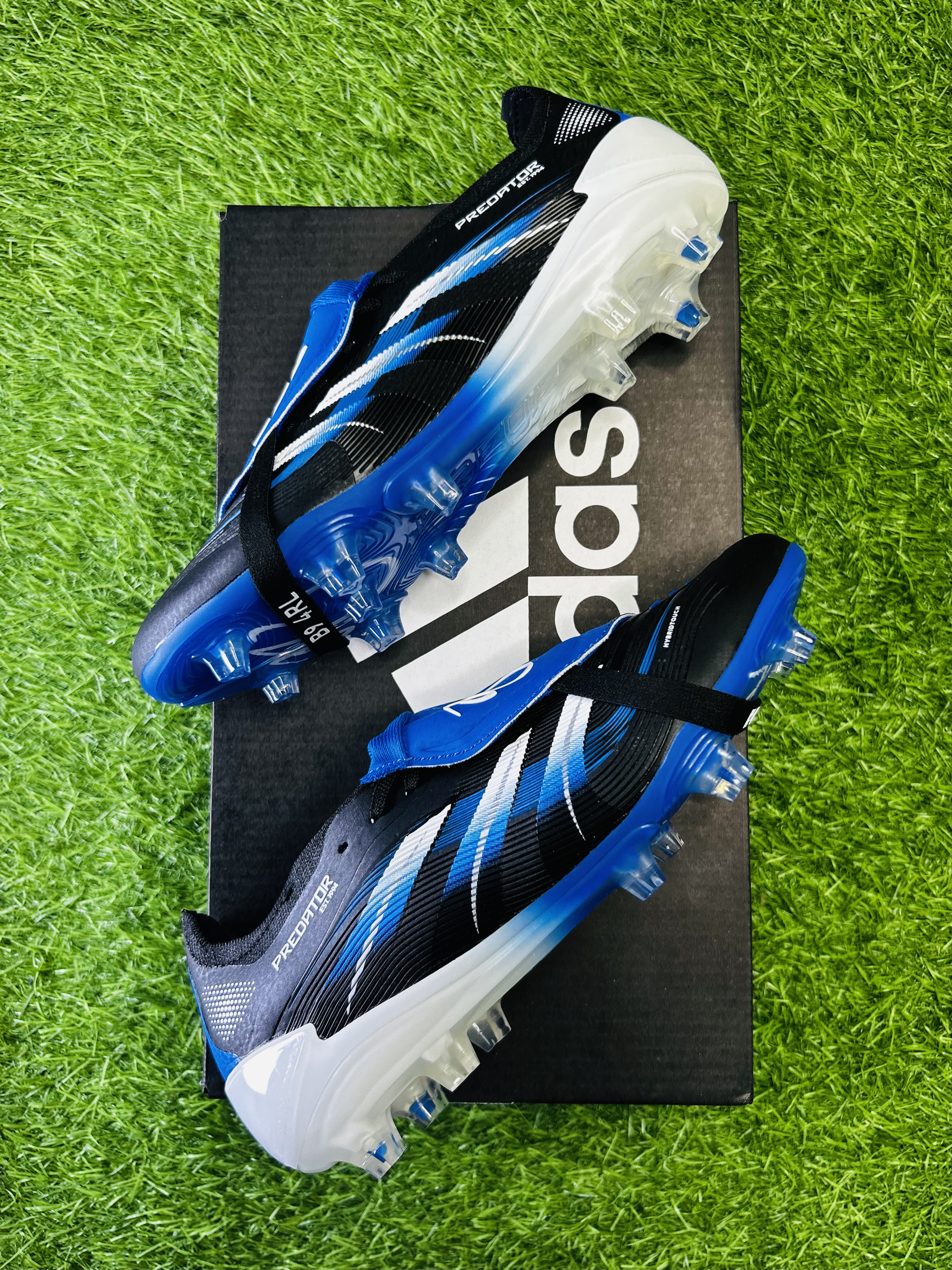 Predator 30 Bellingham