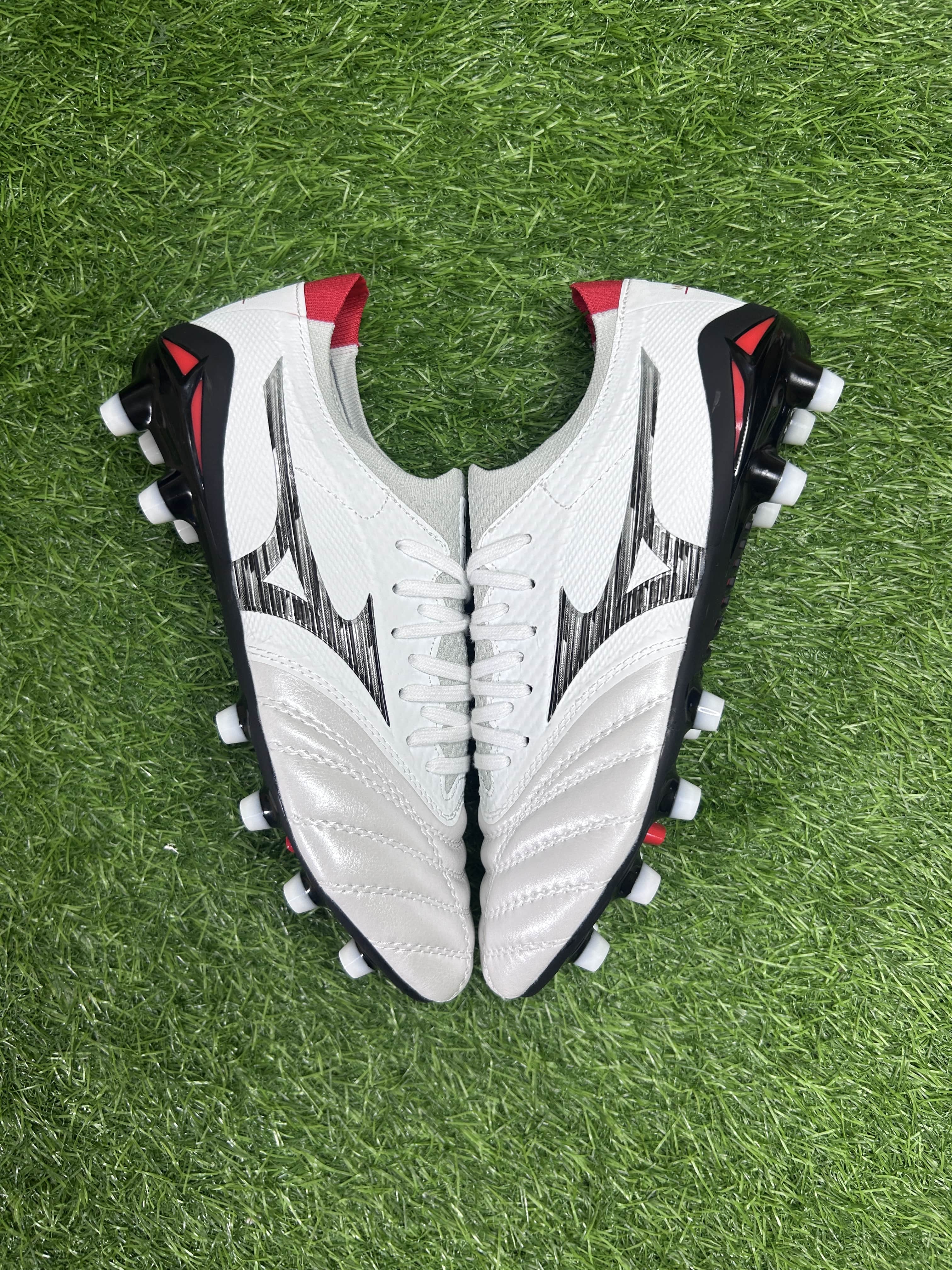 Morelia White colourway