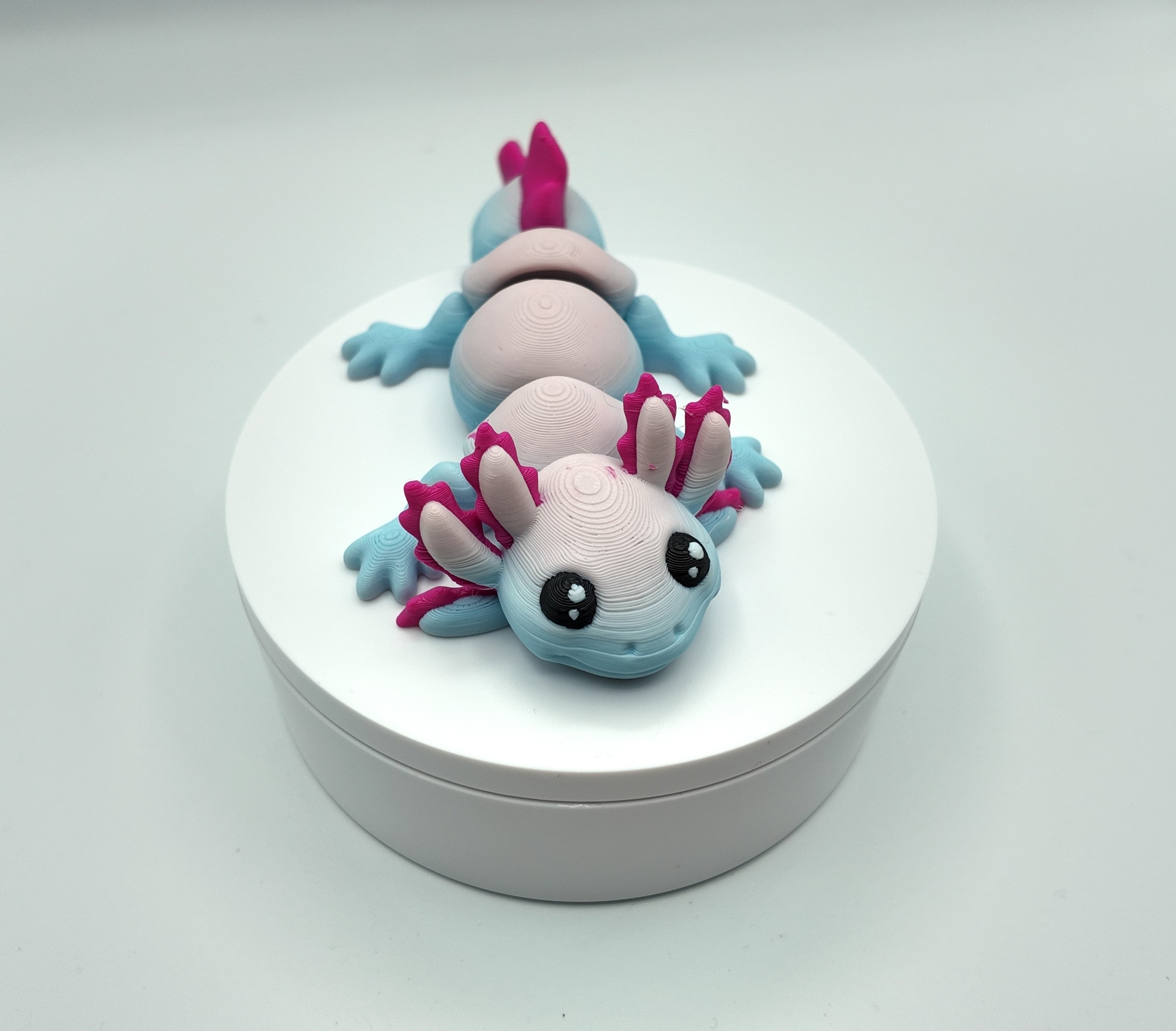 Cute Articulated Axolotl Fidget Toy – 3D Printed, Flexible Desk Pet in Two-Tone Colours – Kawaii Style Desk Buddy or Gift for Teens & Adults 