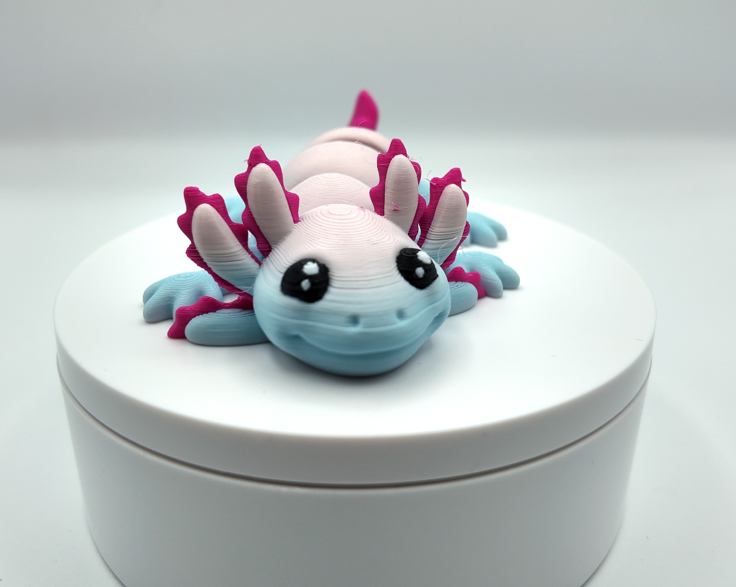 Cute Articulated Axolotl Fidget Toy – 3D Printed, Flexible Desk Pet in Two-Tone Colours – Kawaii Style Desk Buddy or Gift for Teens & Adults 