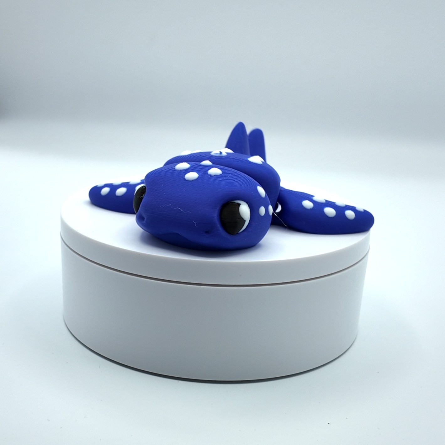 Articulated Baby Whale Shark Flexi Toy | 3D Printed Fidget Toy | Tactile Sensory Desk Pet | Cute Collectible Sea Animal Gift | Multiple Colours