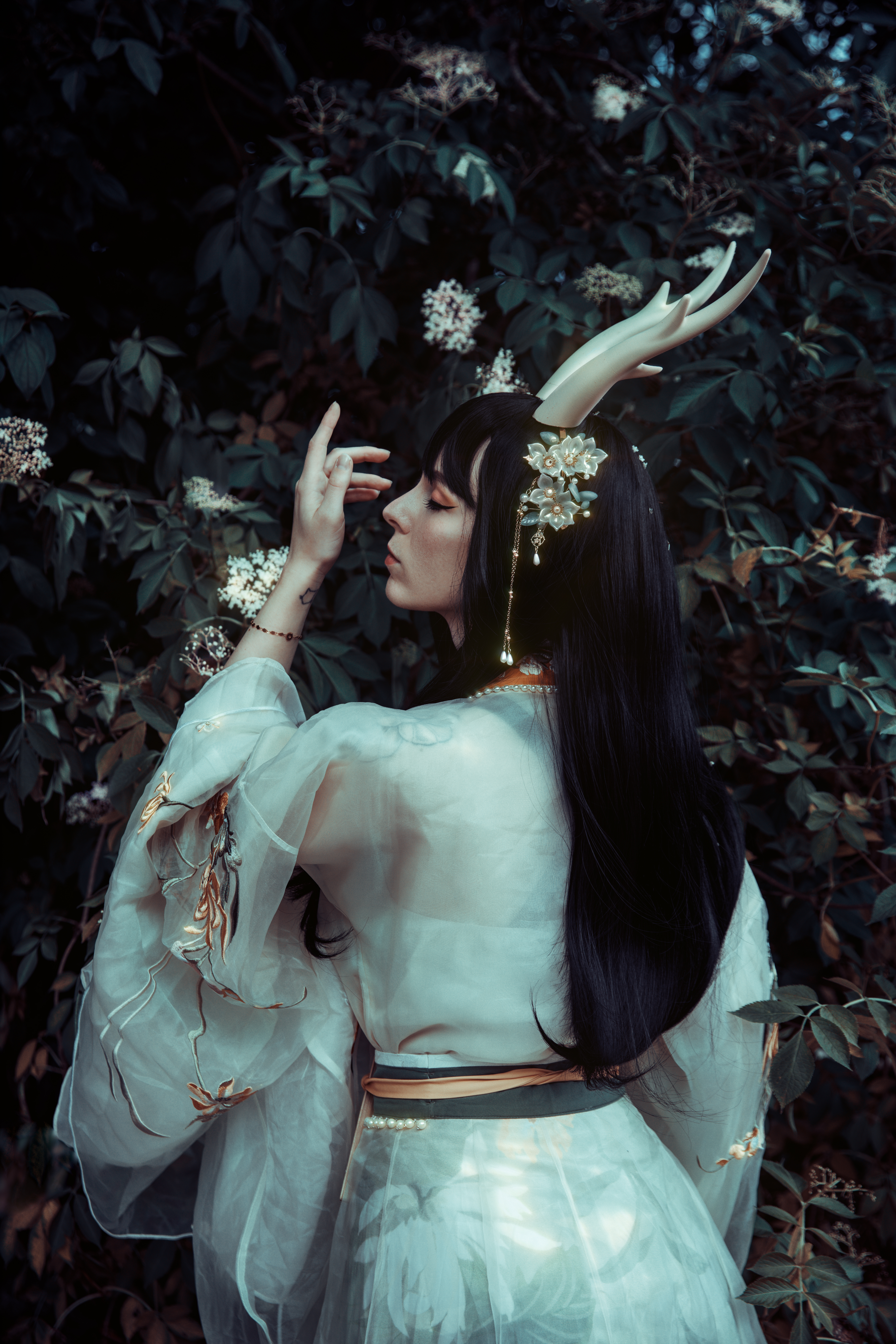 Spirit of Shizen