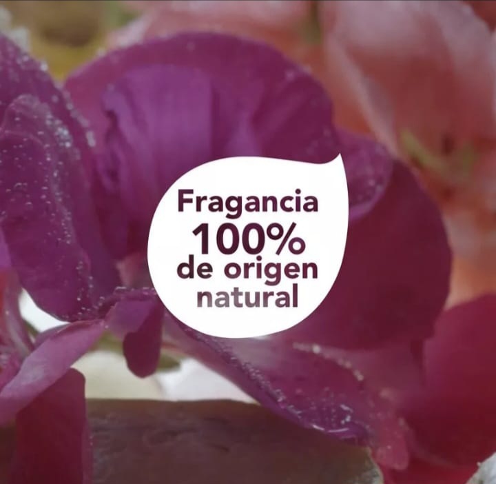Mascarilla Poder de las Plantas Dove